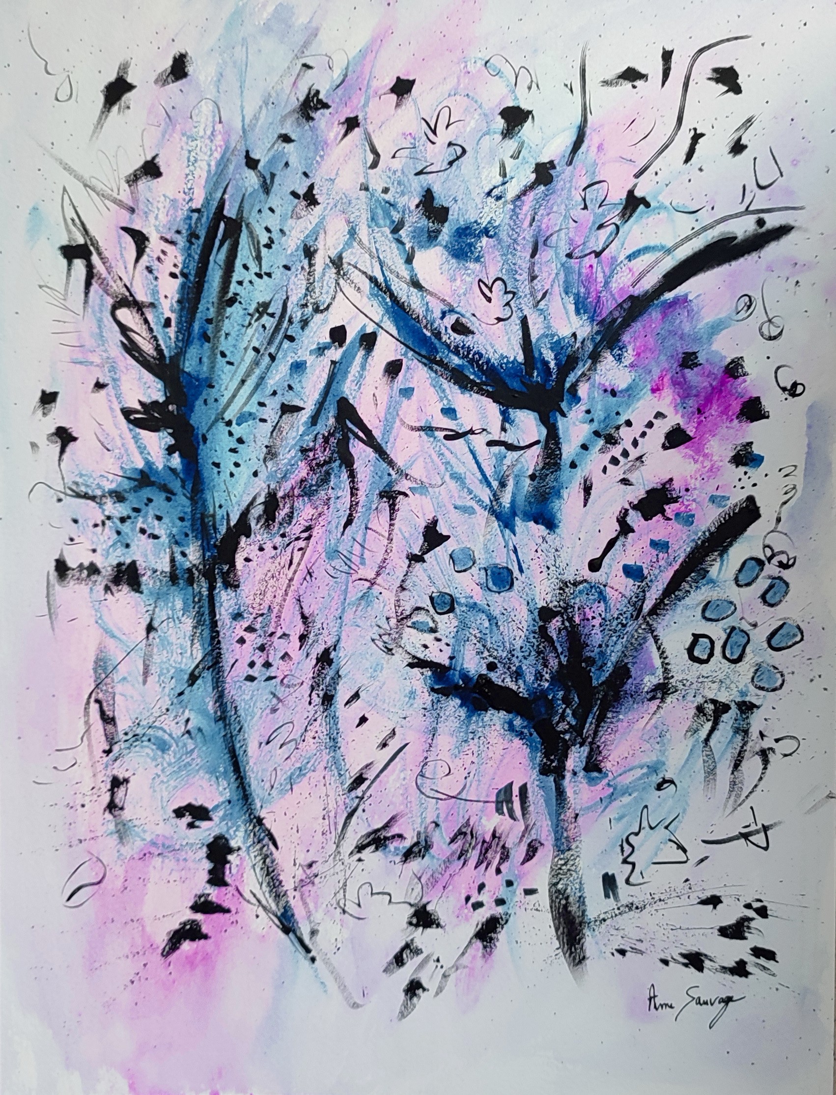 Âme Sauvage, Vol des oiseaux noirs Âme Sauvage, Vol des oiseaux noirs