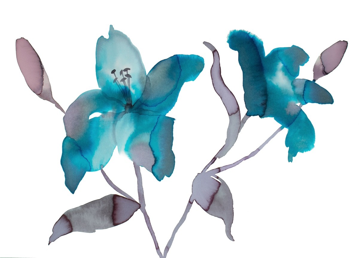 Elizabeth Becker, Lilies No. 3 Elizabeth Becker, Lilies No. 3