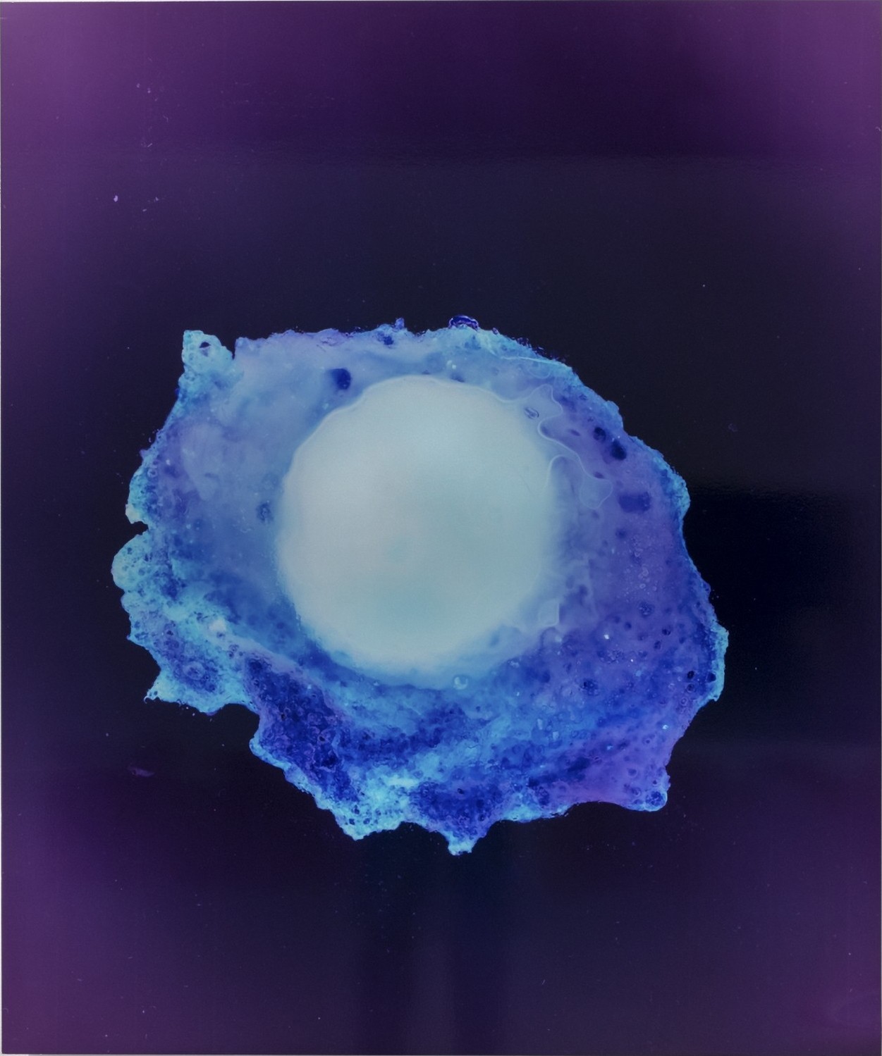 Alzbeta Wolfová, Orbe Alzbeta Wolfová, Orbe
