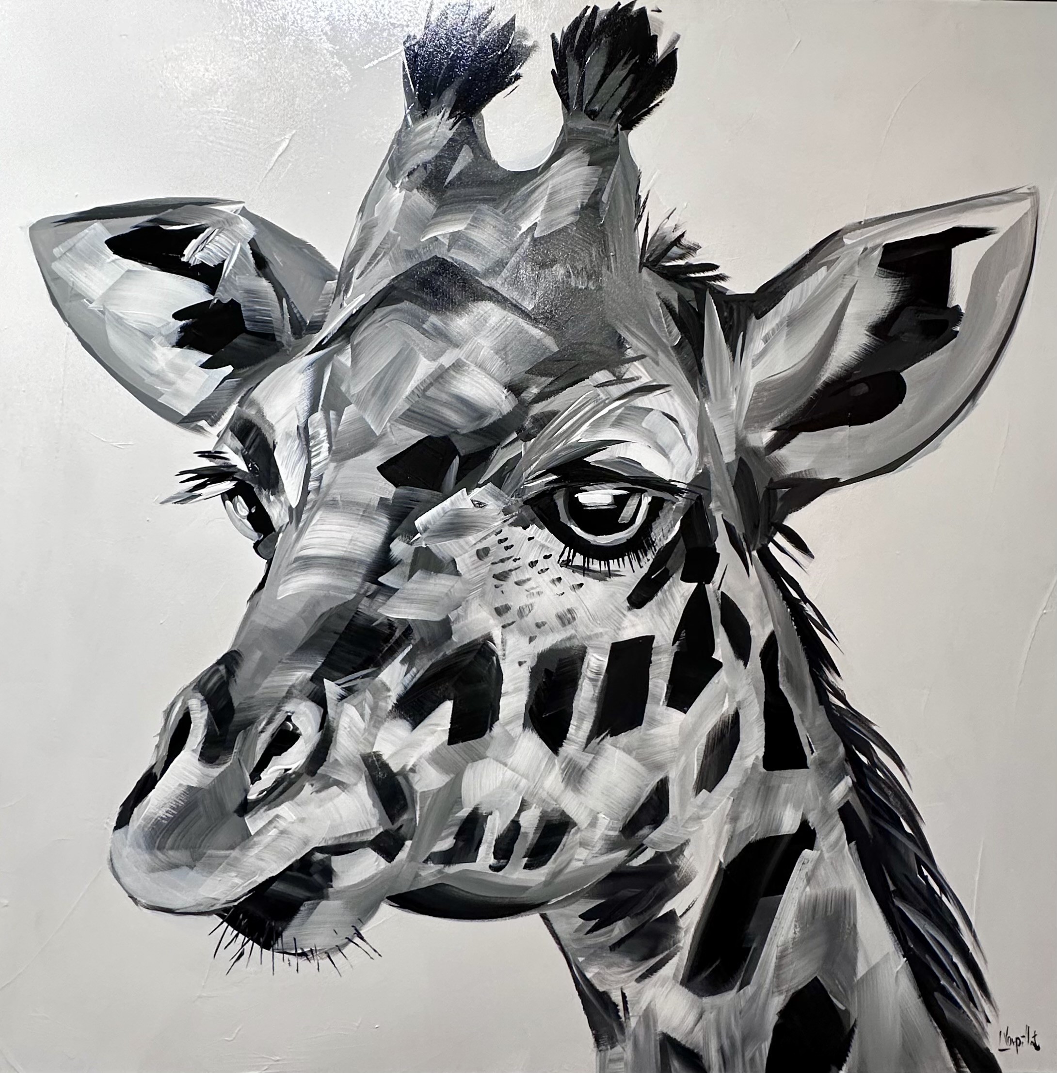 Lise Vurpillot, Vision Lise Vurpillot, Vision