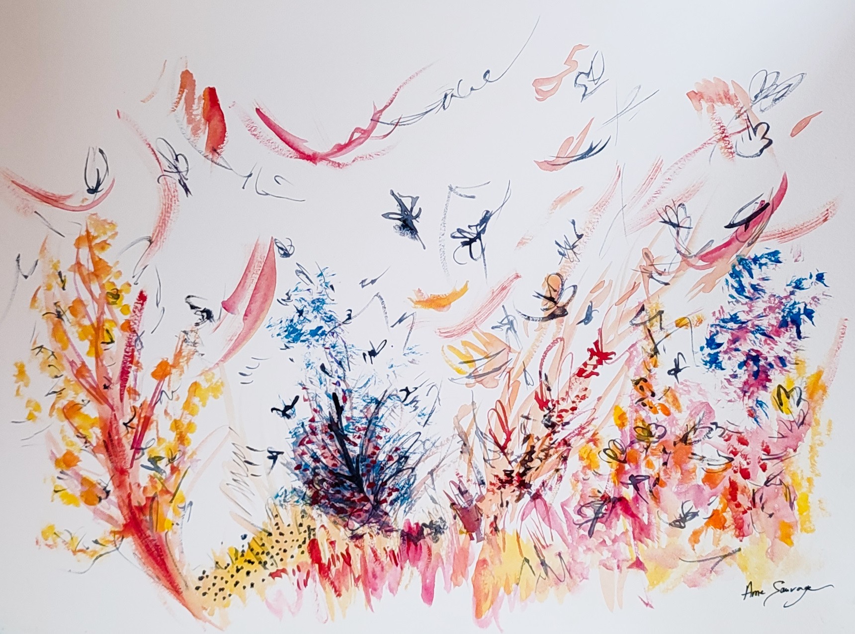 Âme Sauvage, Les fées coloristes Âme Sauvage, Les fées coloristes
