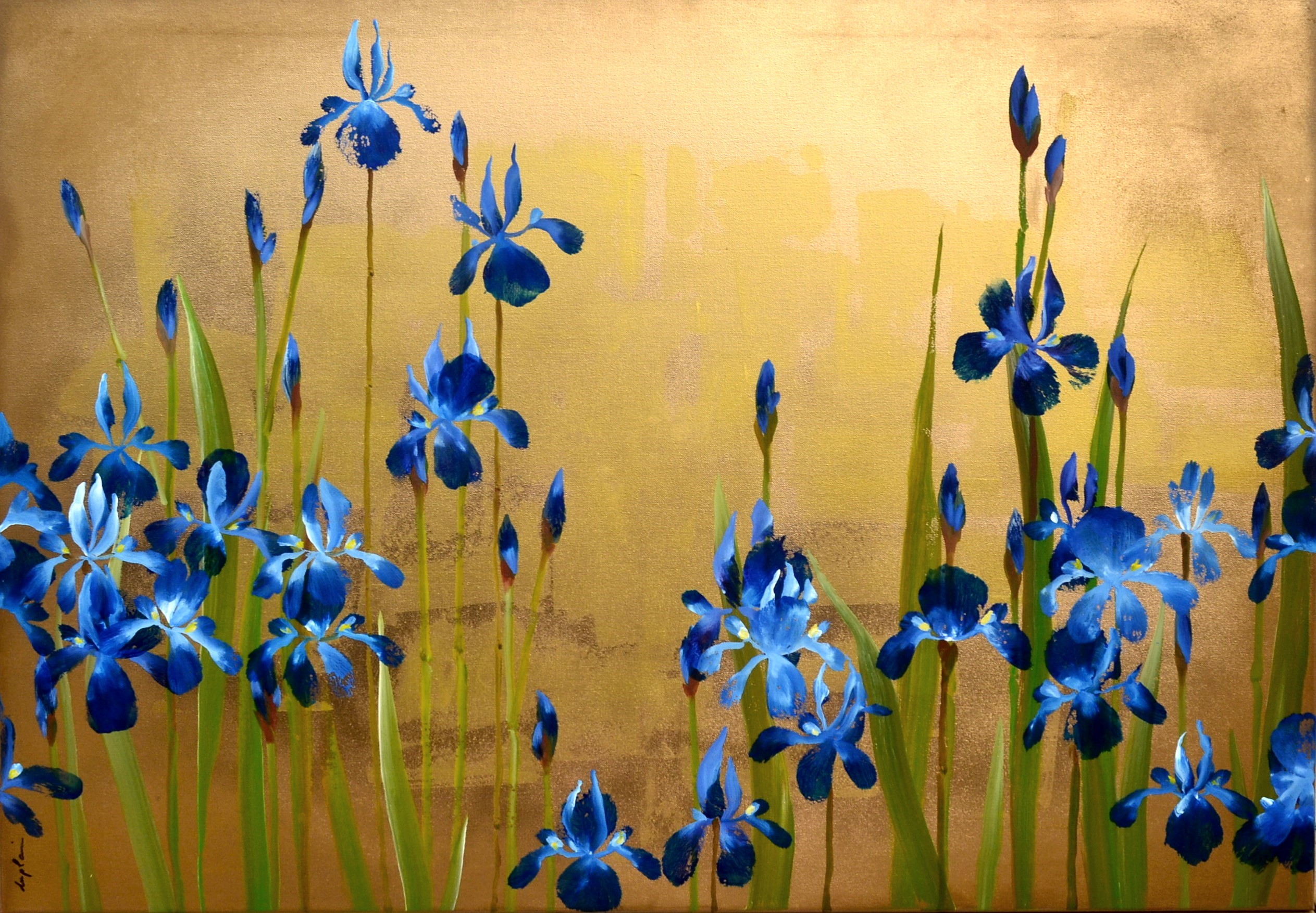 Sophie Duplain, Iris Sophie Duplain, Iris