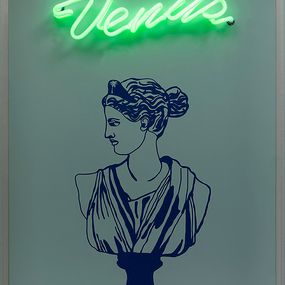 Sculpture, Venus. Neon Light Box. Wall Sculpture, Paloma Castello