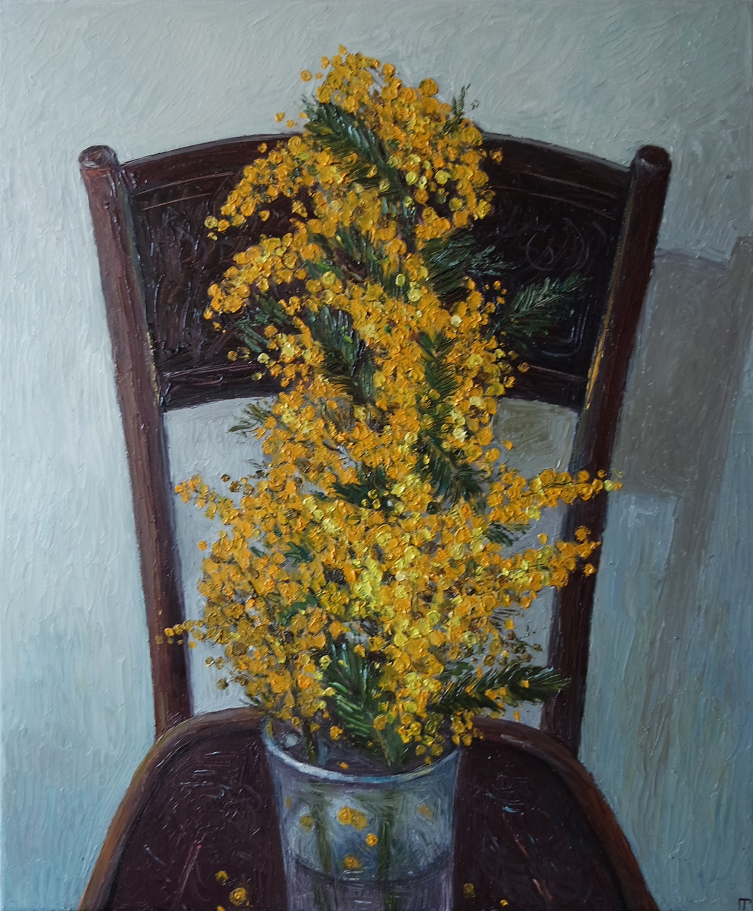 Galya Popova, Mimosa Galya Popova, Mimosa