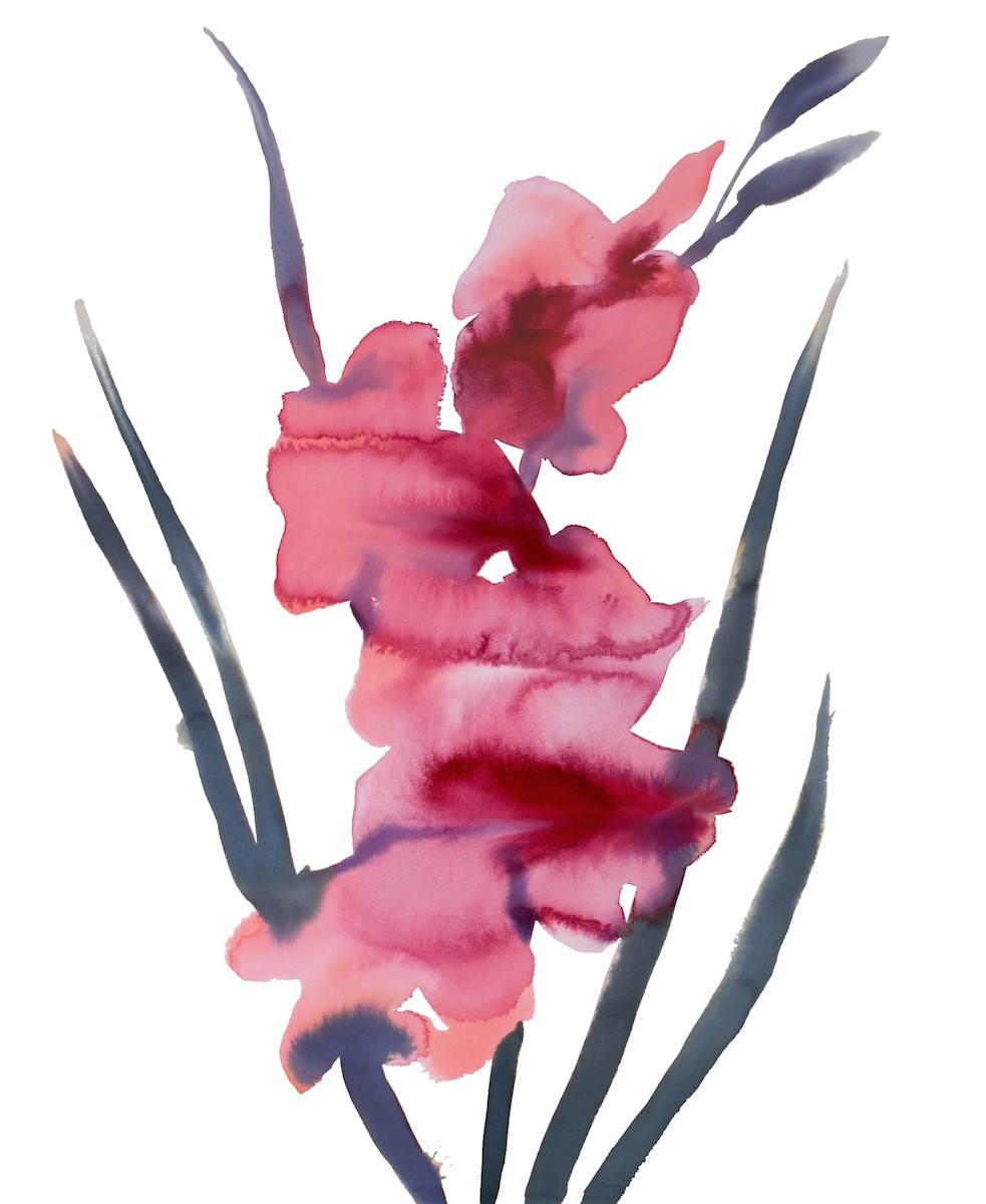 Elizabeth Becker, Gladiolus No. 3 Elizabeth Becker, Gladiolus No. 3