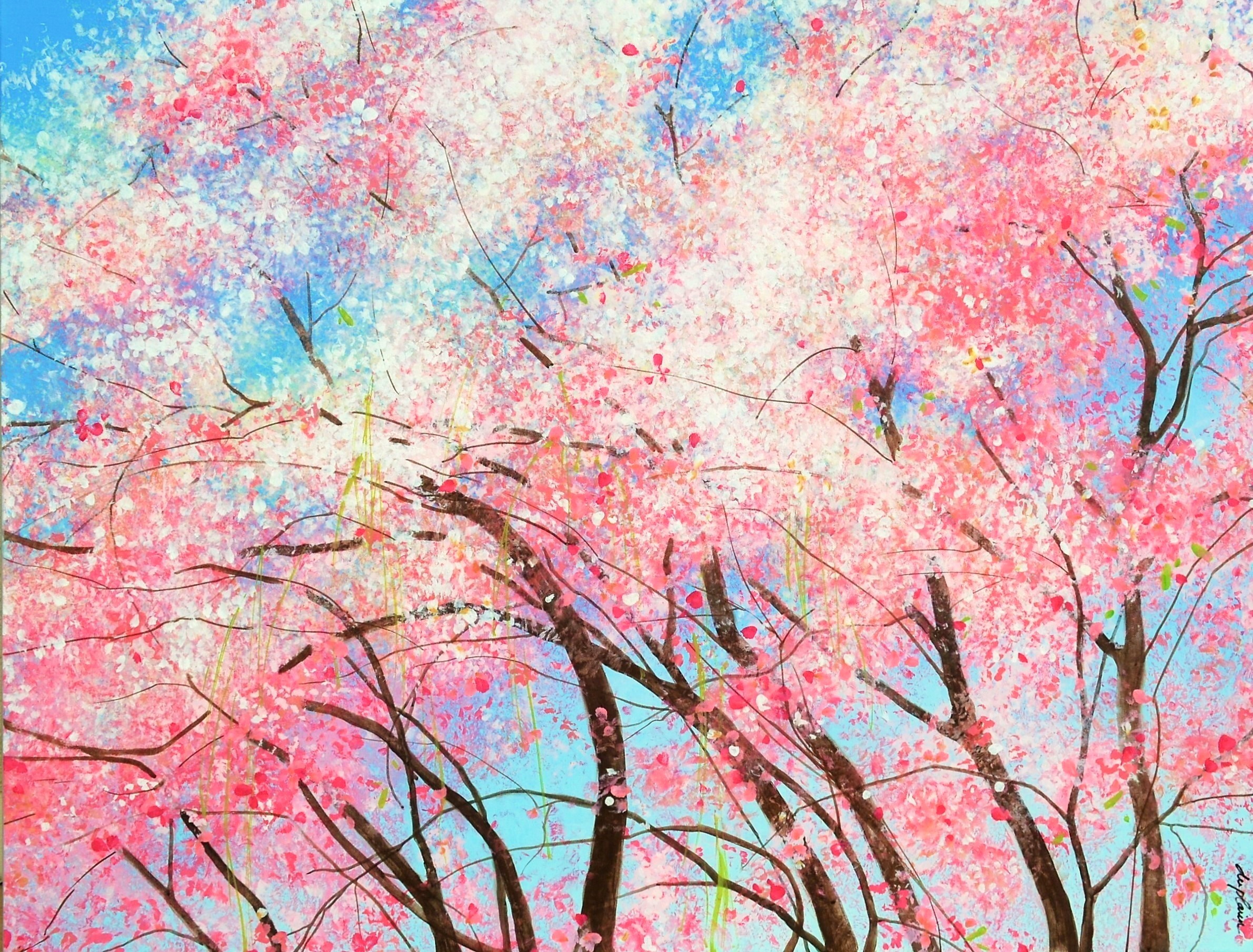 Sophie Duplain, Blooms Sophie Duplain, Blooms