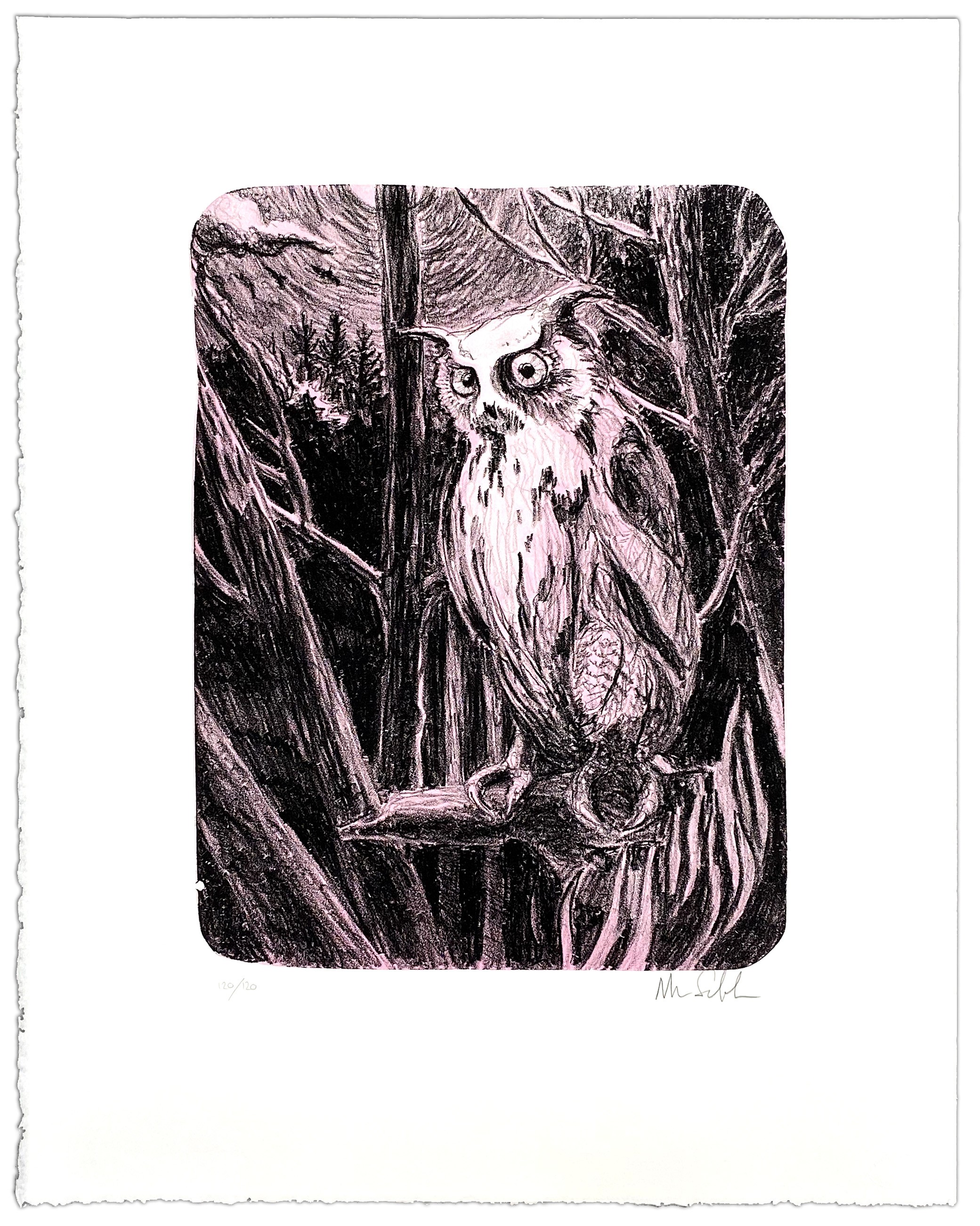 Morten Schelde, Night Owl Morten Schelde, Night Owl