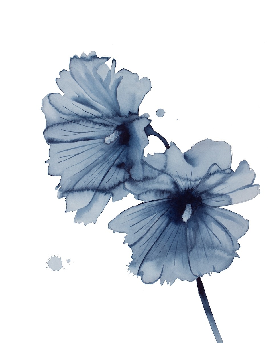 Elizabeth Becker, Hibiscus No. 6 Elizabeth Becker, Hibiscus No. 6