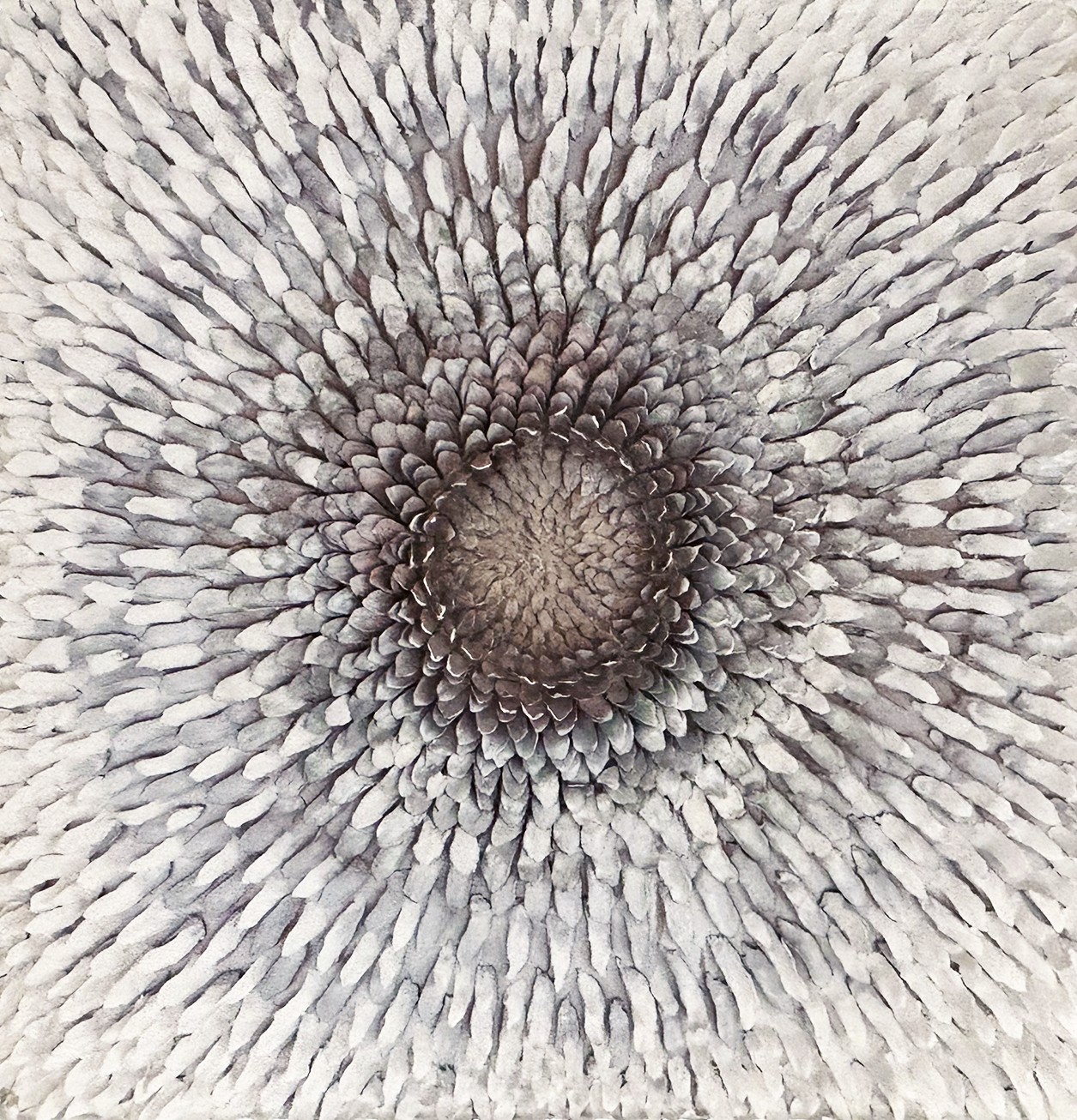 Lauren Naomi, Origin-Nucleus Lauren Naomi, Origin-Nucleus