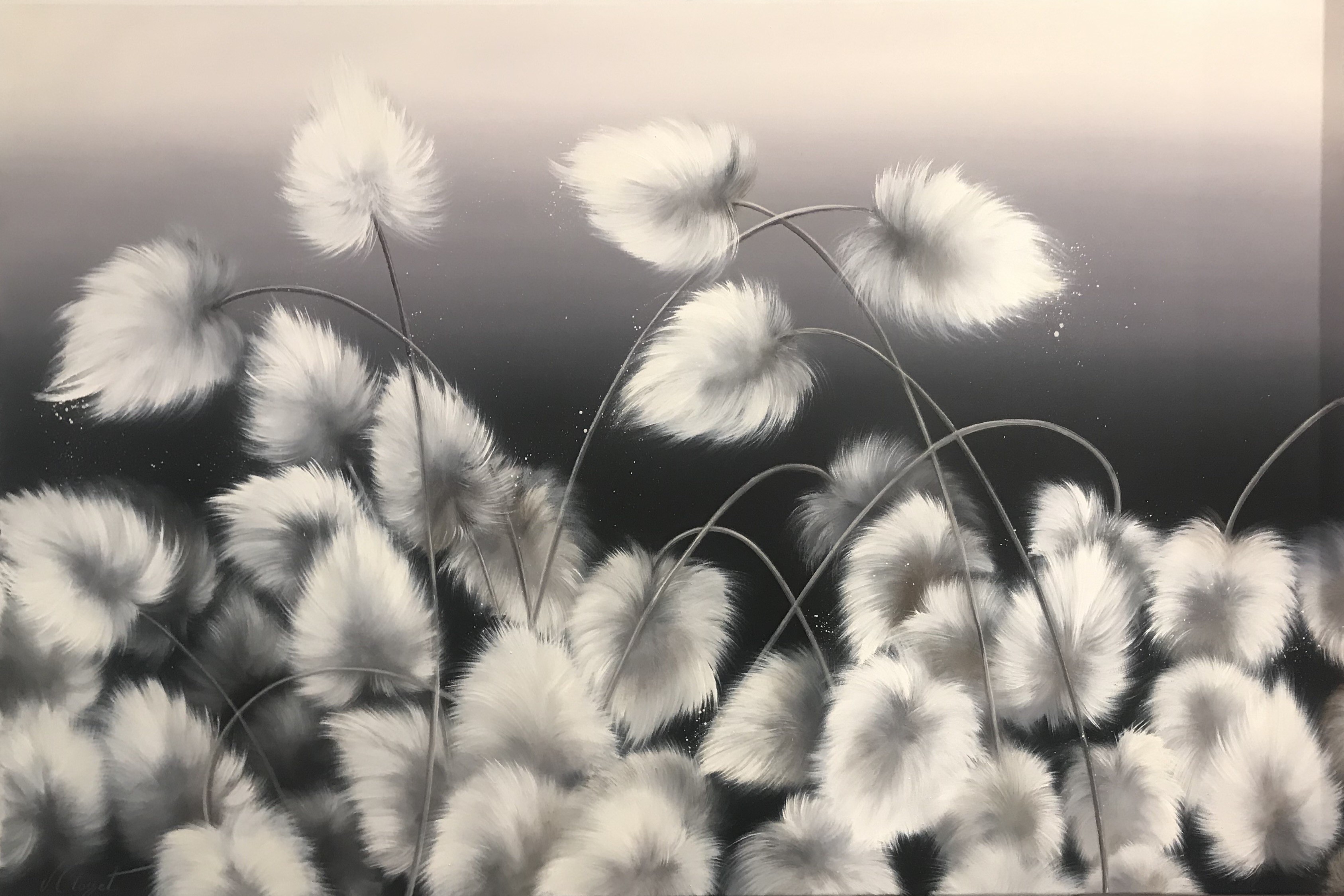 Vinciane Closset, White Grass / Graminées Plumes Vinciane Closset, White Grass / Graminées Plumes