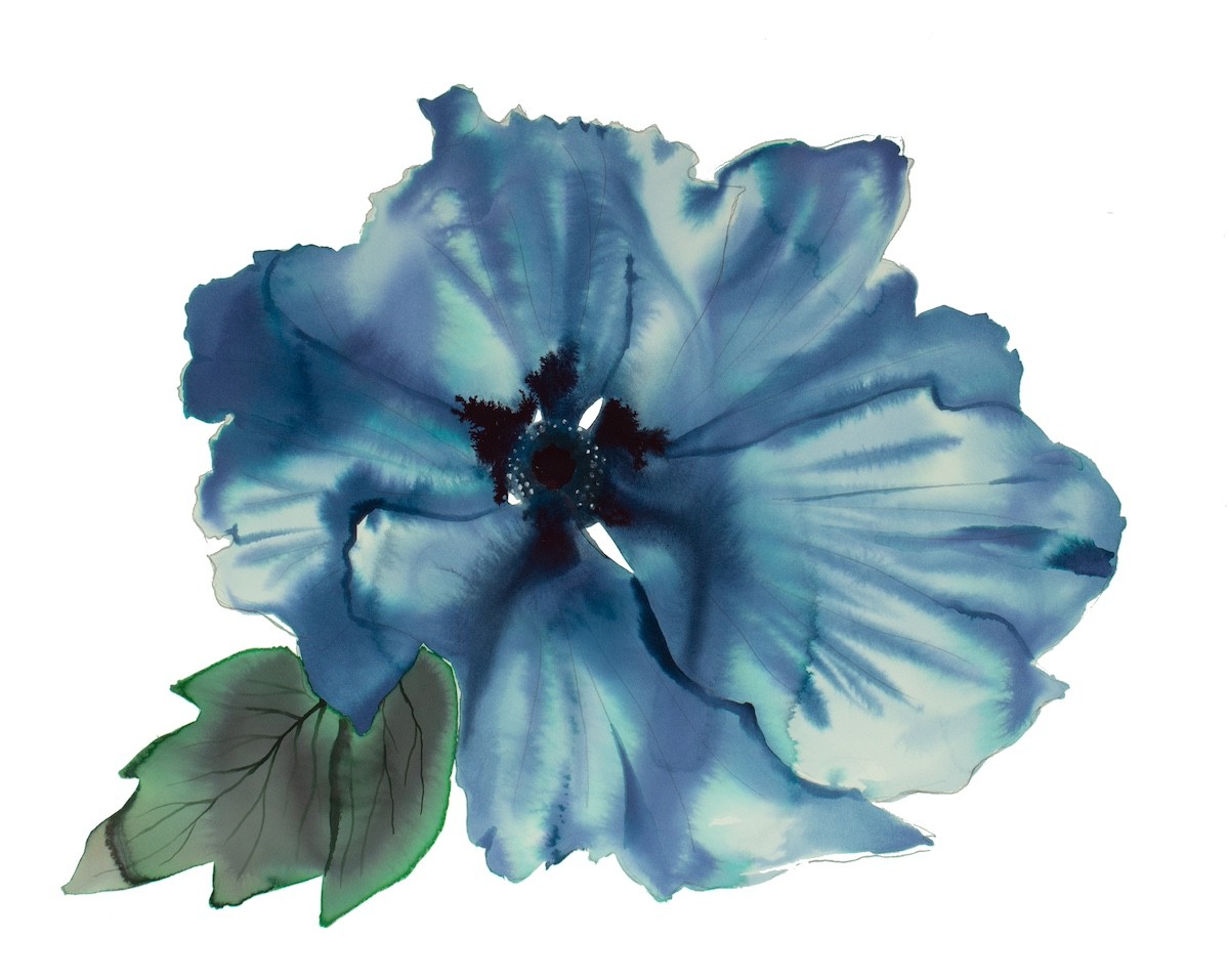 Elizabeth Becker, Anemone No. 6 Elizabeth Becker, Anemone No. 6