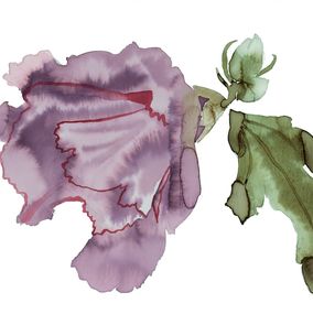 Peinture, Hibiscus No. 7, Elizabeth Becker