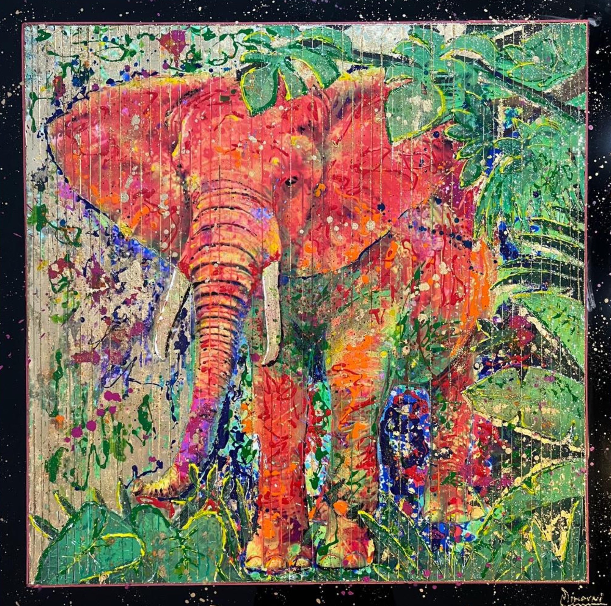 Alain Mimouni, Elephant Alain Mimouni, Elephant