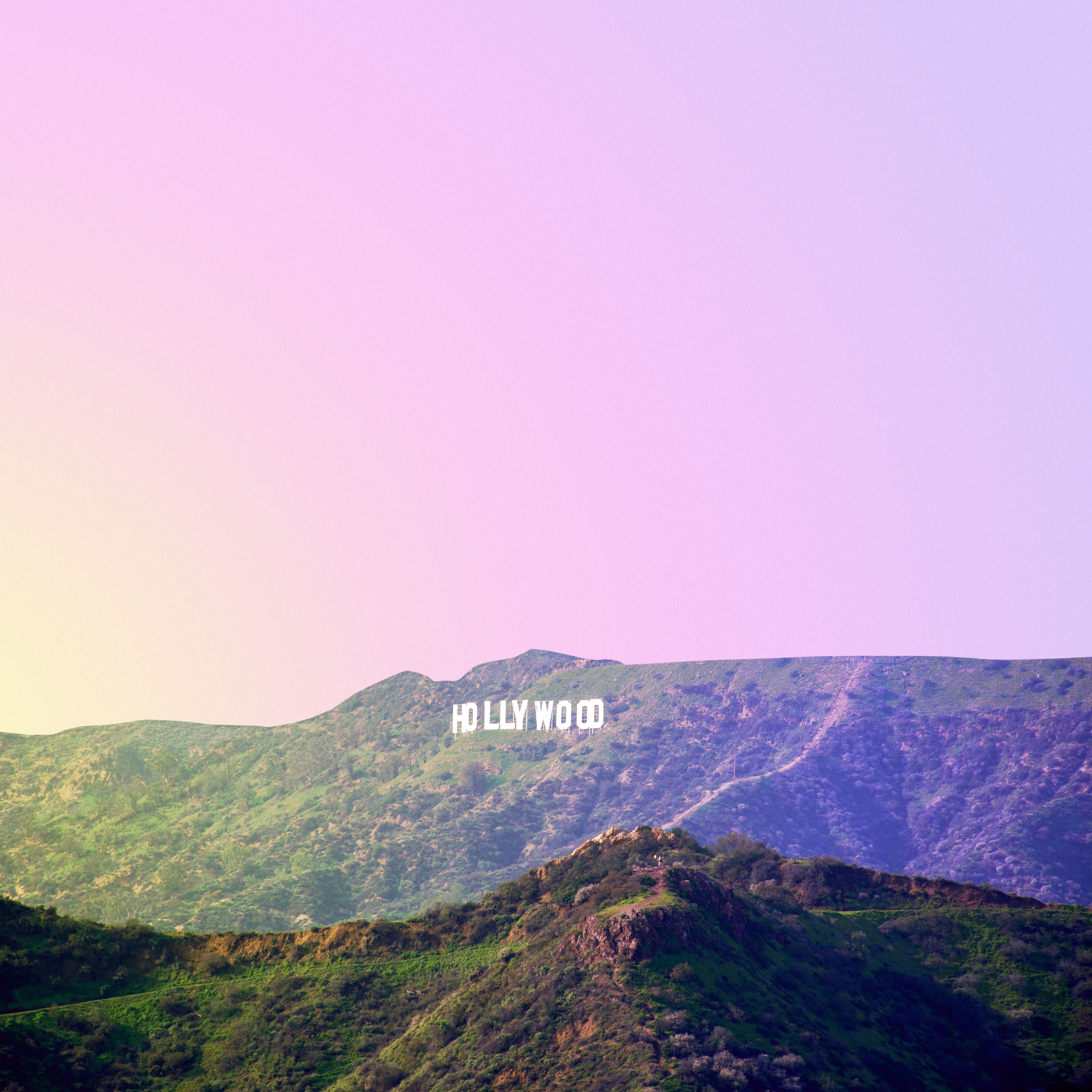 Téber, Hollywood Téber, Hollywood
