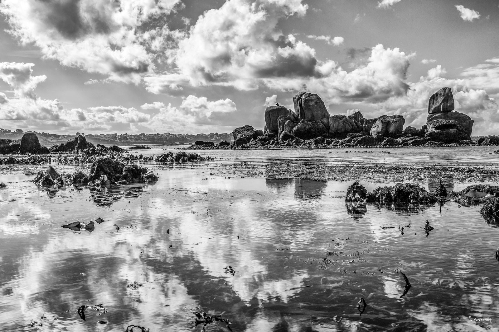 Philippe Grincourt, Reflets Philippe Grincourt, Reflets