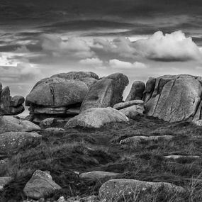 Photographie, L'ile aux vaches, Philippe Grincourt
