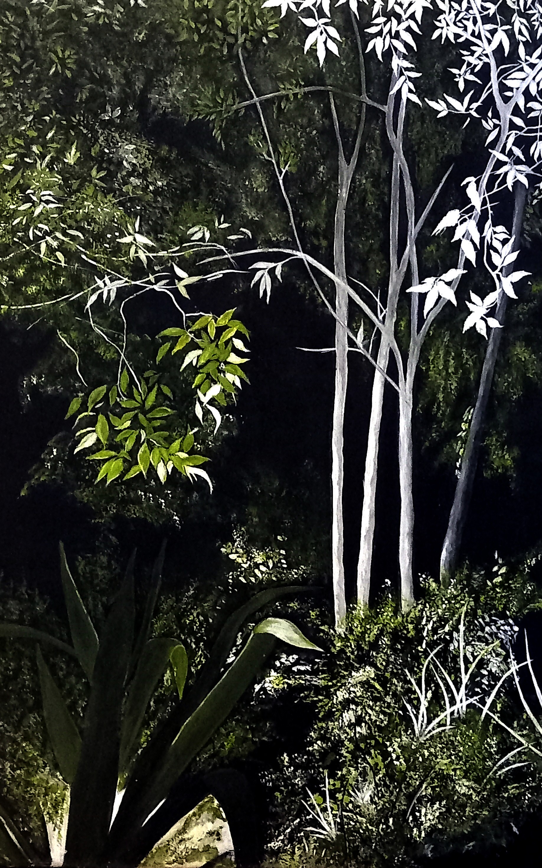 Danielle Launay, Mon Jardin de Nuit Danielle Launay, Mon Jardin de Nuit