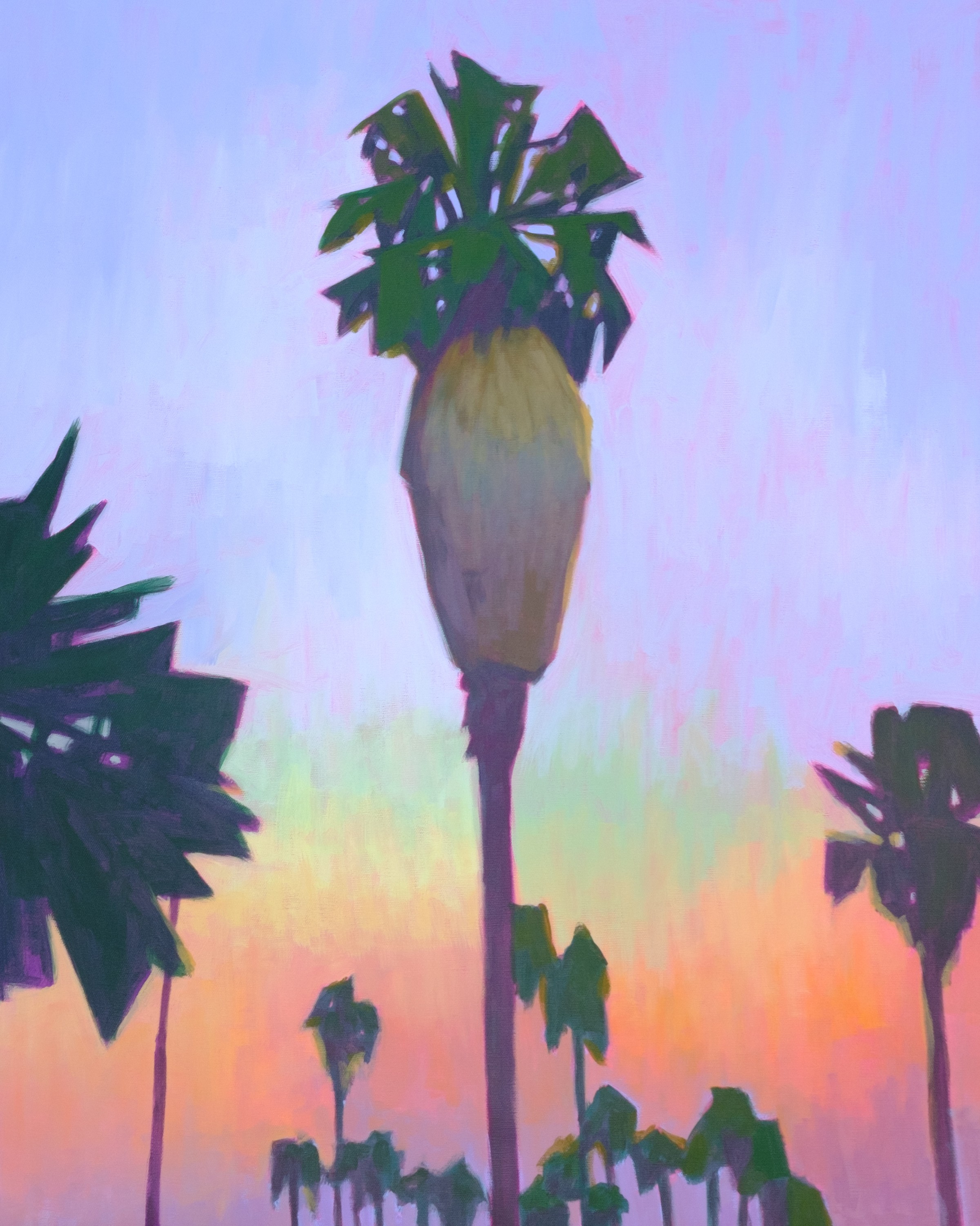 Tim Blandin, Palms and Sunset Tim Blandin, Palms and Sunset