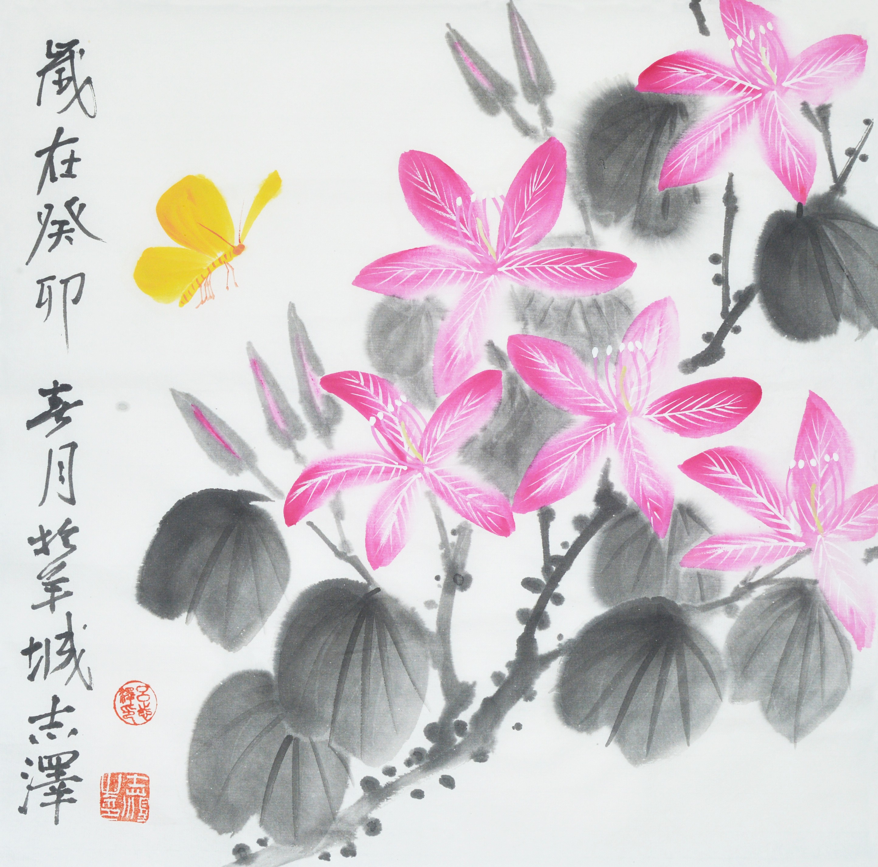 Zhize Lv, Bauhinia Zhize Lv, Bauhinia
