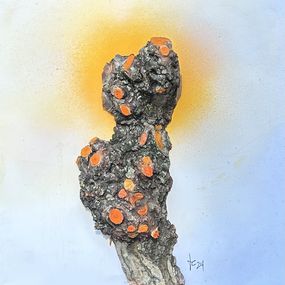 Sculpture, Arrel d'arbre amb llum, Ferran Cartes Yerro
