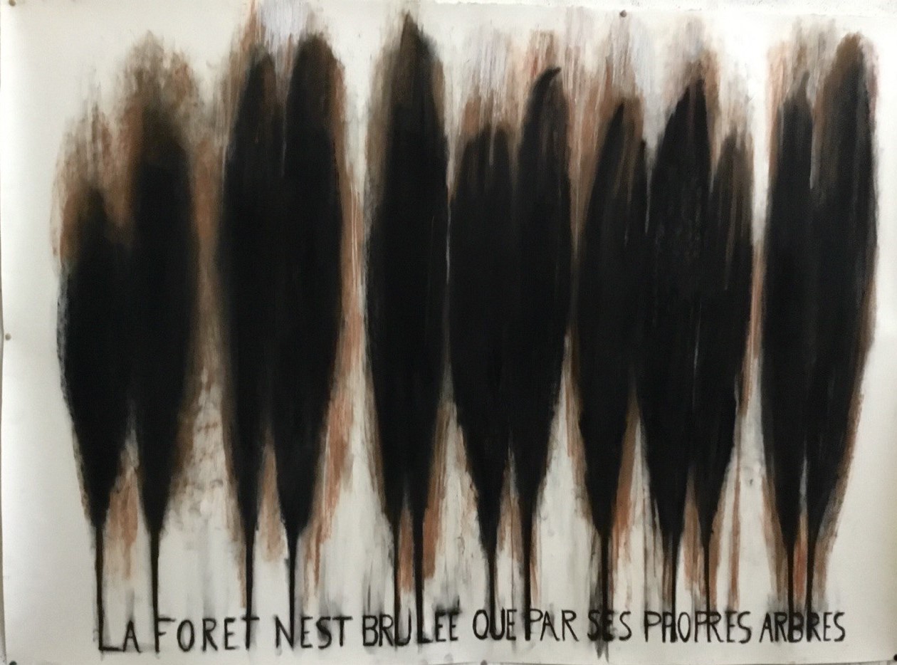 Miguel Sancho, Forêt brulée Miguel Sancho, Forêt brulée