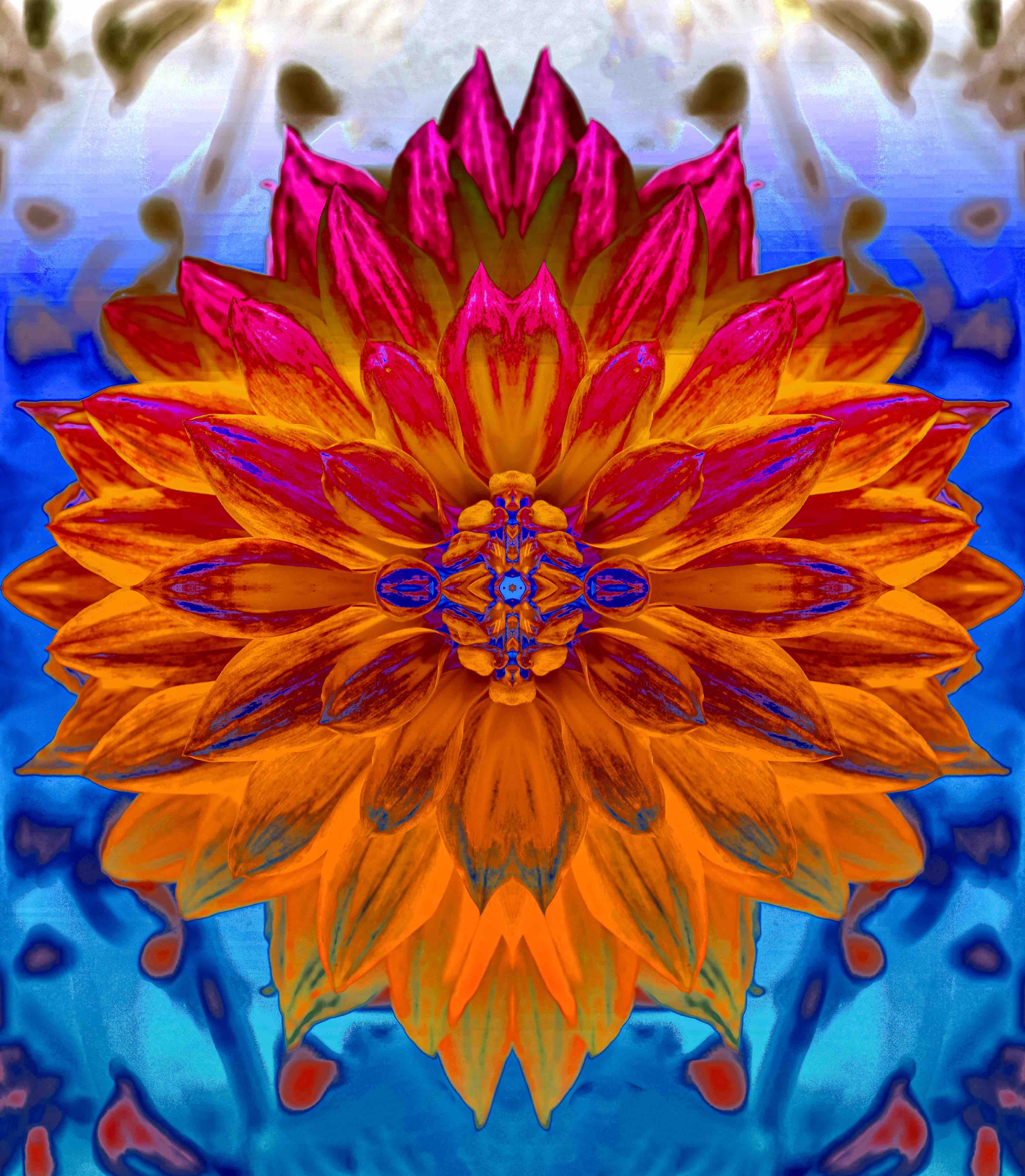 Sumit Mehndiratta, Prismatic Dahlia Sumit Mehndiratta, Prismatic Dahlia