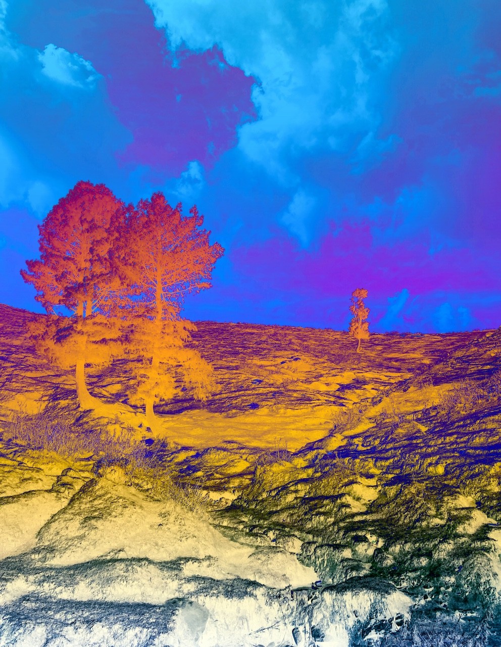 Sumit Mehndiratta, Thermal Dreams Sumit Mehndiratta, Thermal Dreams