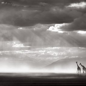 Photography, Infinite, Drew Doggett