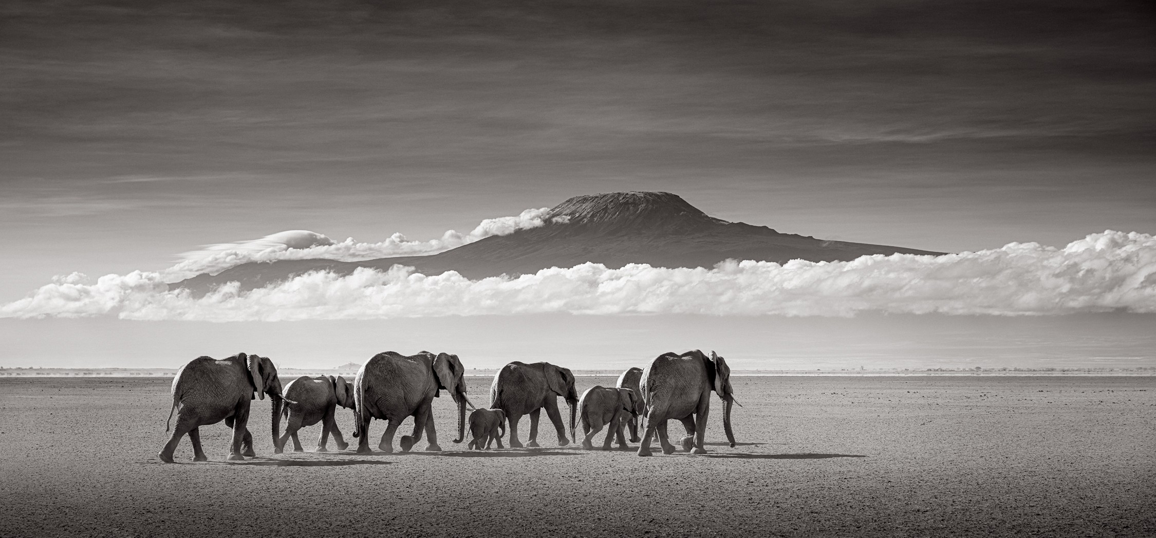 Drew Doggett, Journey to Kilimanjaro Drew Doggett, Journey to Kilimanjaro