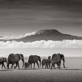 Photography, Journey to Kilimanjaro, Drew Doggett