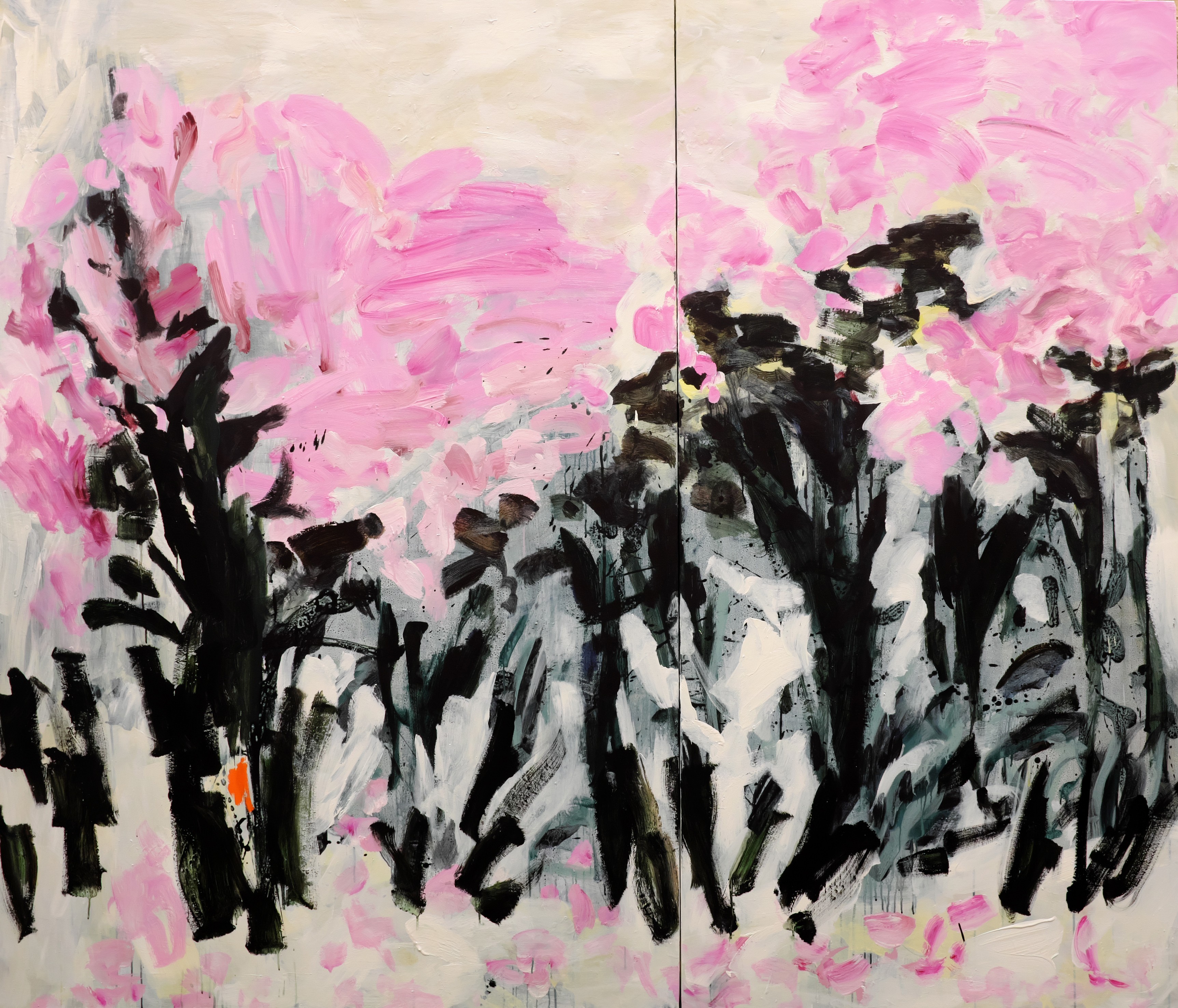 Diane de Cicco, Spring Diane de Cicco, Spring