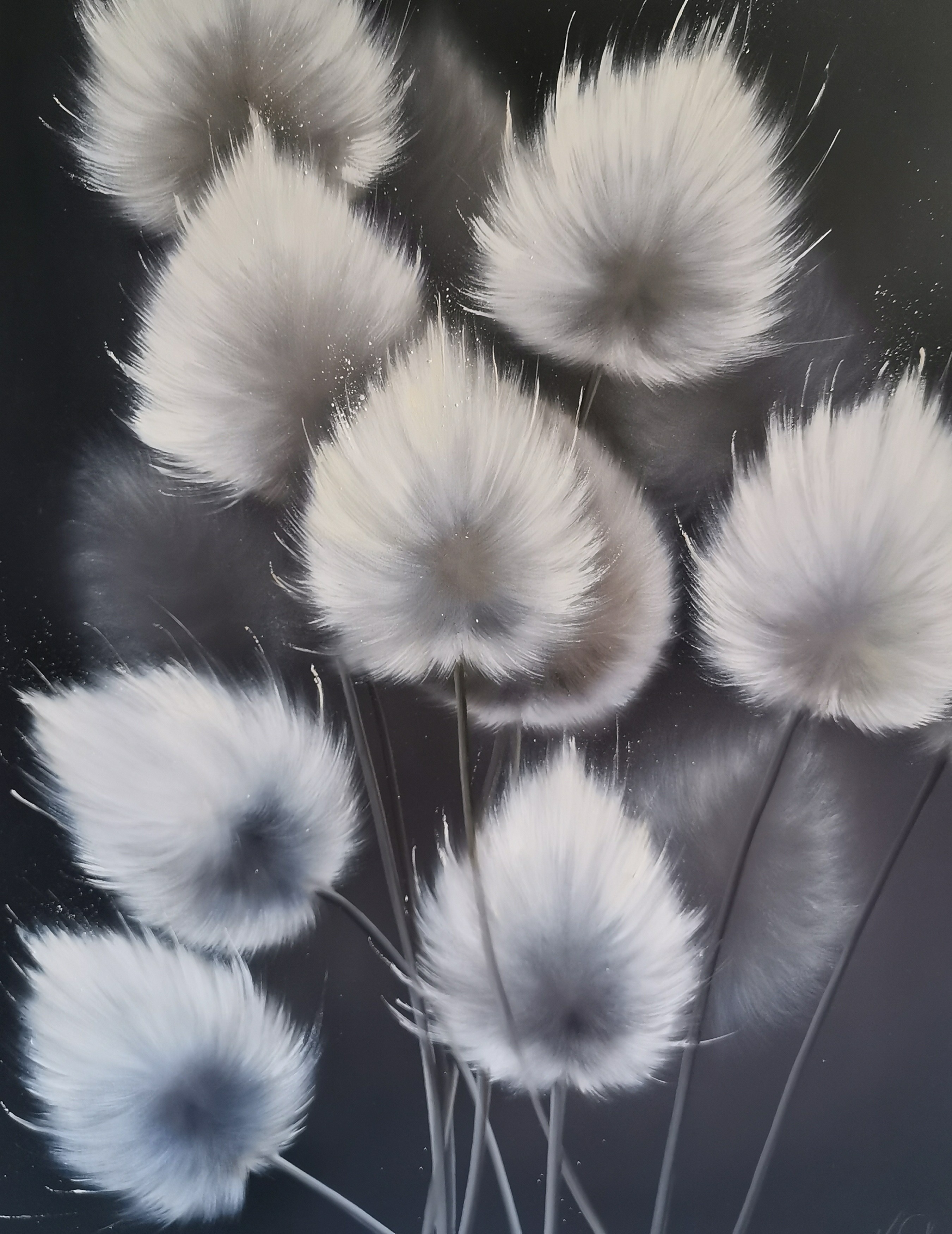 Vinciane Closset, Graminées Plumes / White Grasses Vinciane Closset, Graminées Plumes / White Grasses