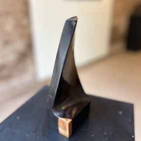 Sculpture, Fusta negra fina, Ferran Cartes Yerro
