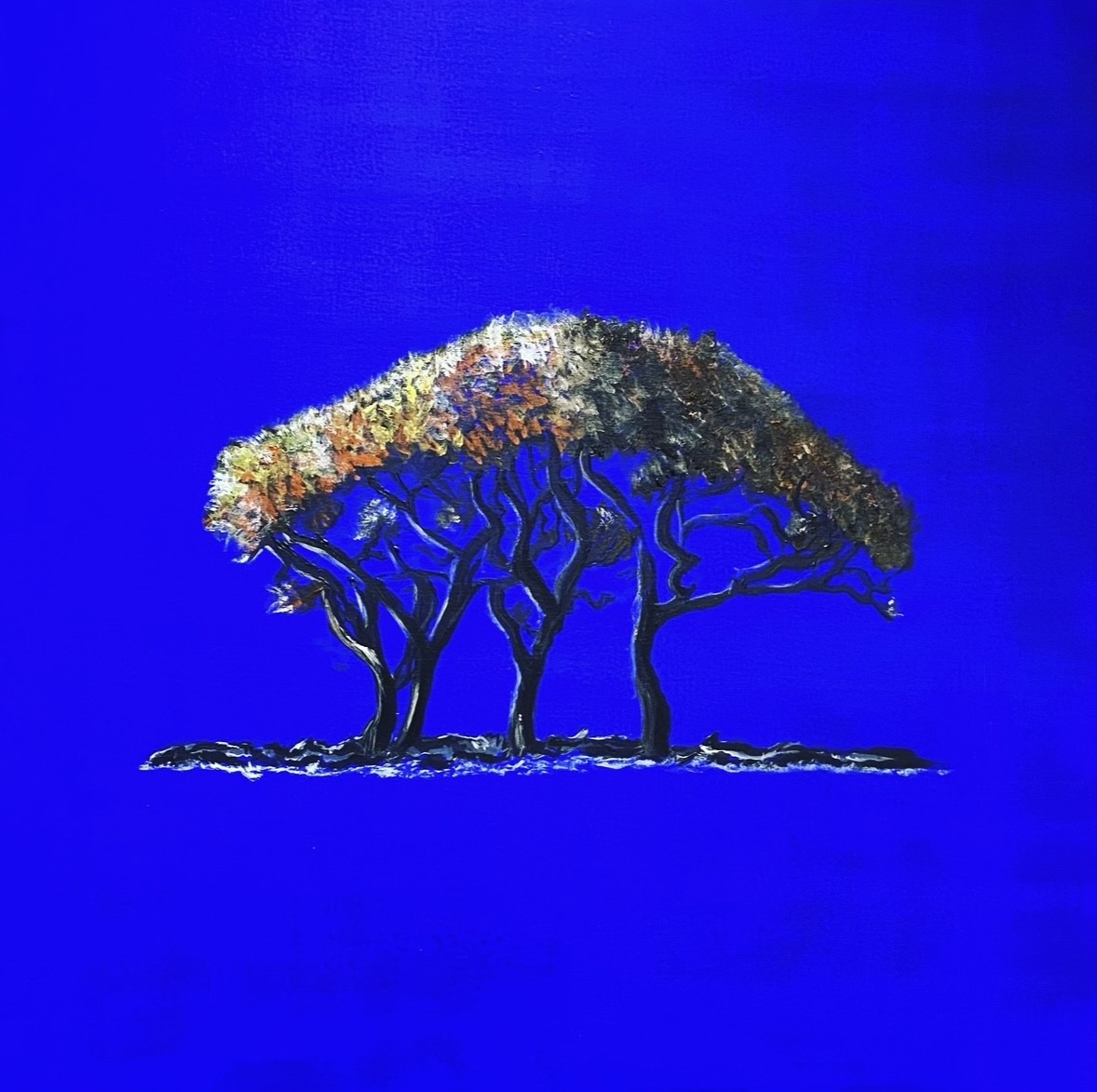Bente Halvorsen, A memory Bente Halvorsen, A memory