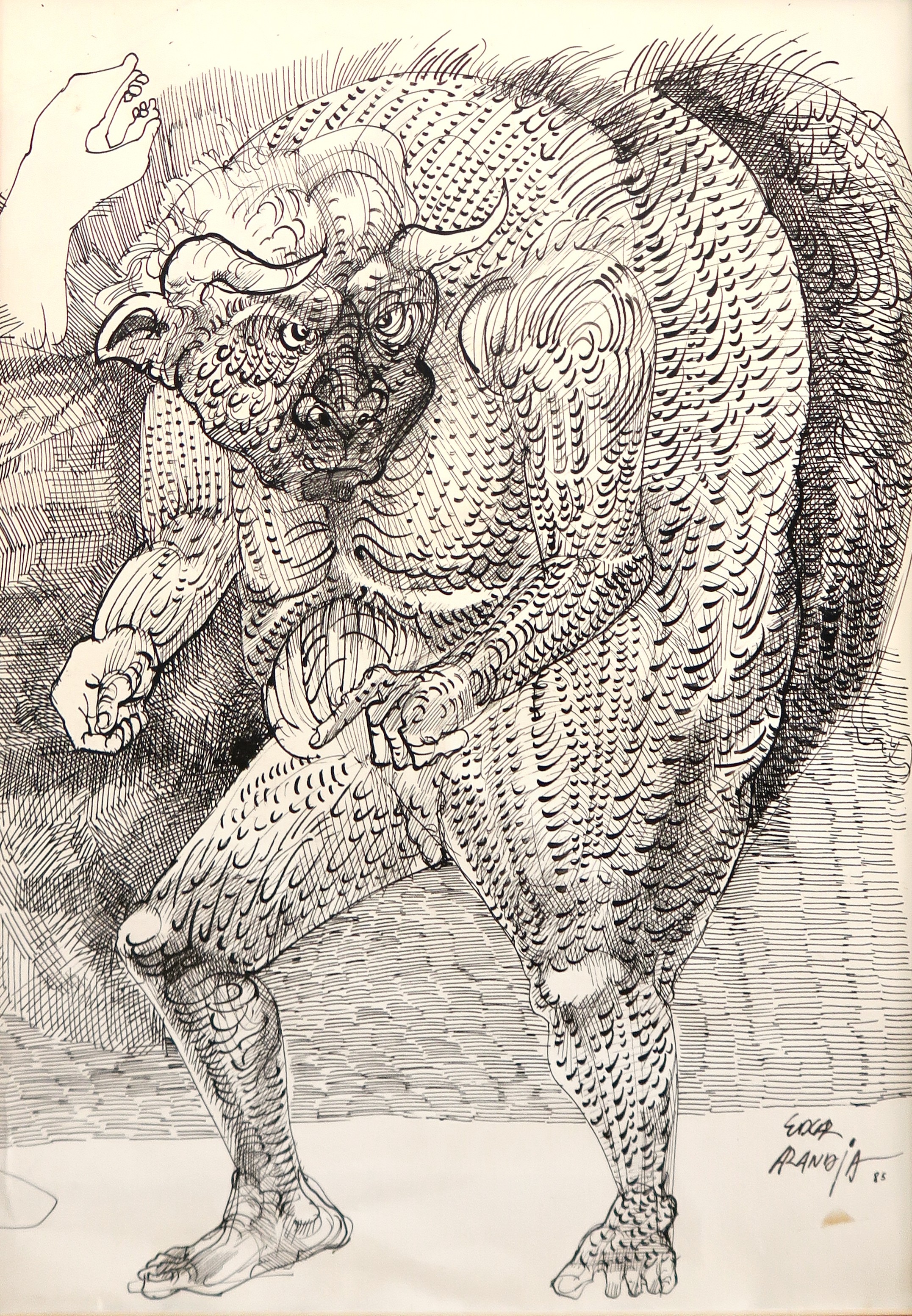 Edgar Arandia, Angry bull Edgar Arandia, Angry bull