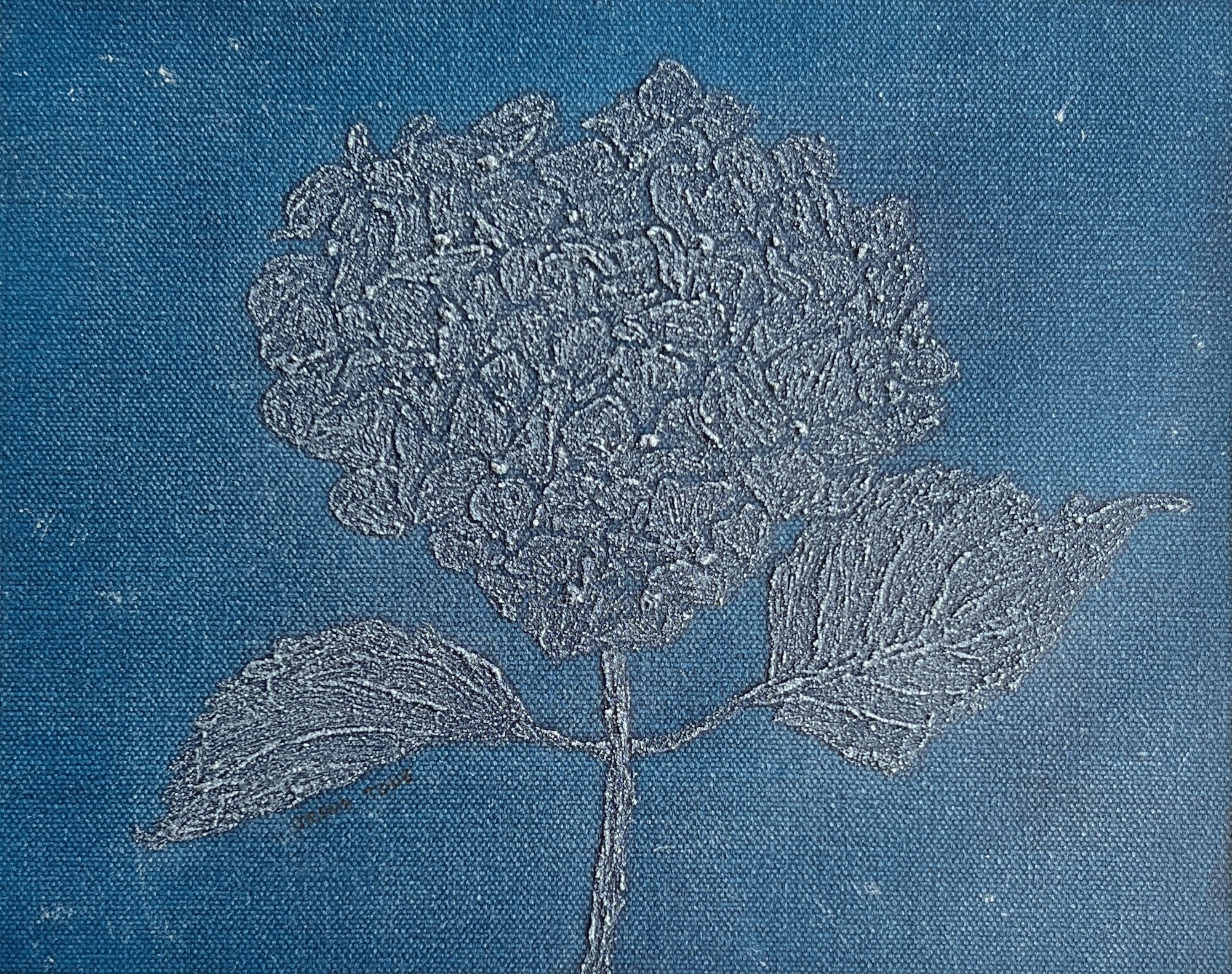 Irena Tone, Hortensia Blue Irena Tone, Hortensia Blue