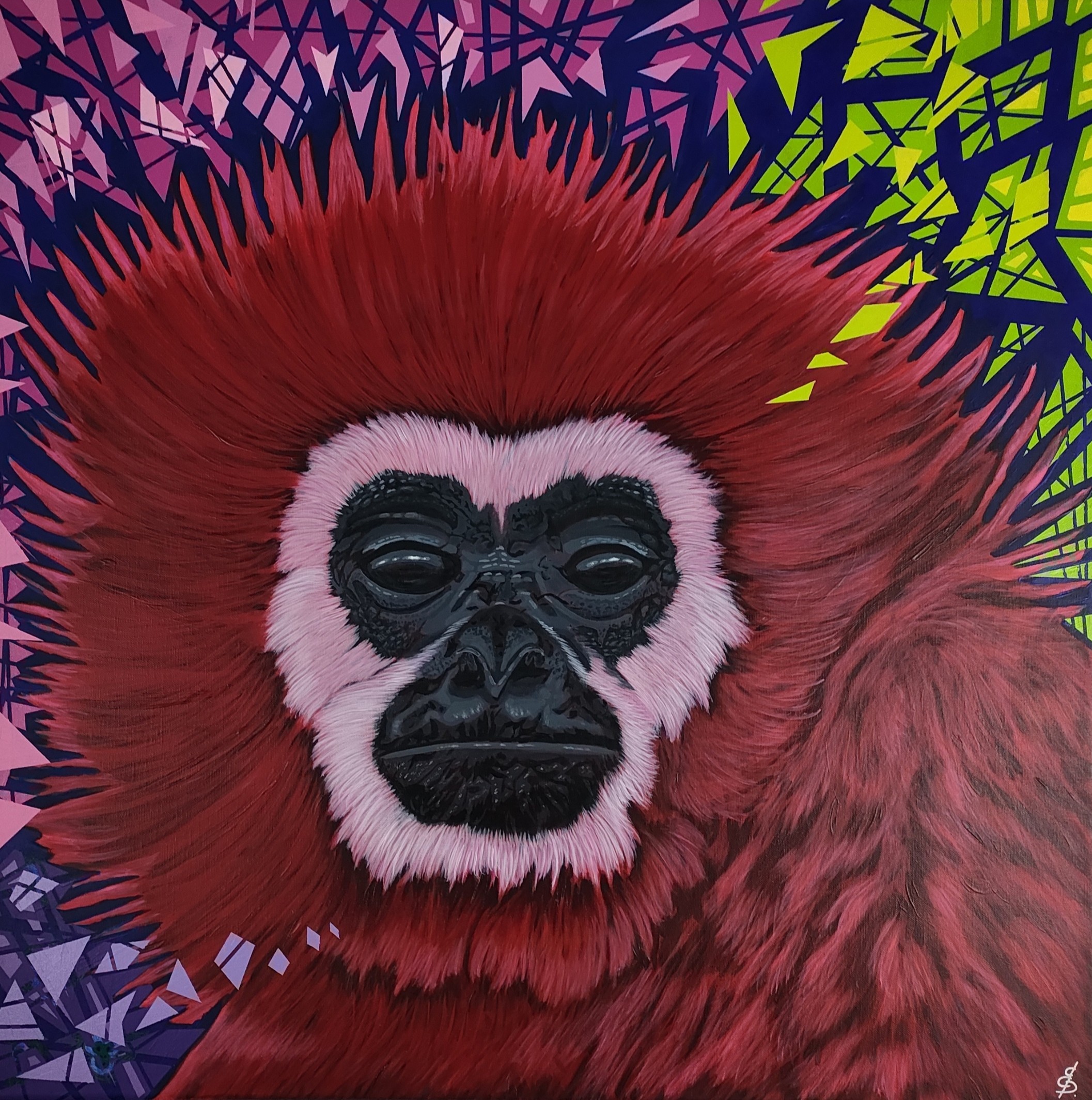 Benjamin David, Messy Gibbon Benjamin David, Messy Gibbon