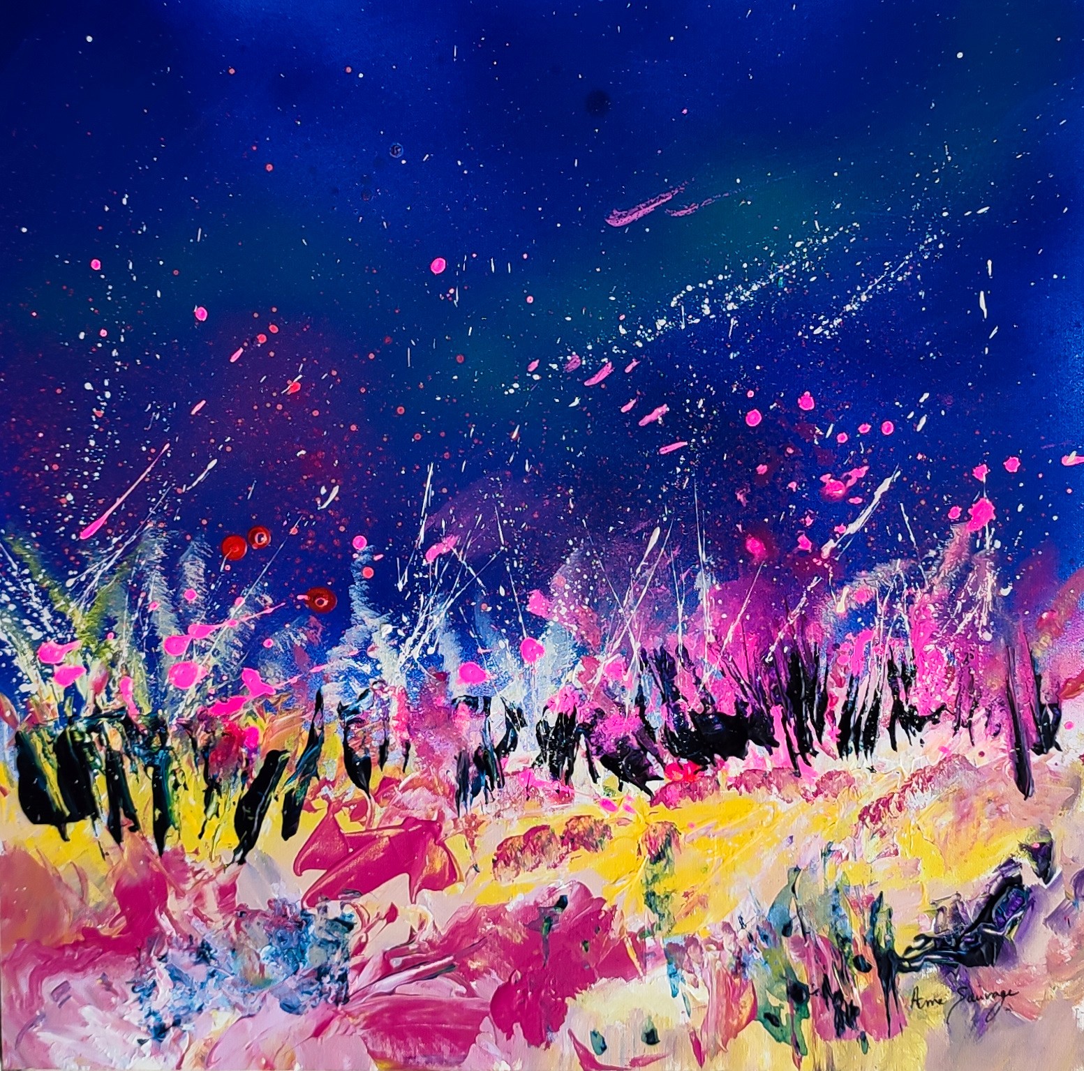 Âme Sauvage, Couleurs de fête Âme Sauvage, Couleurs de fête