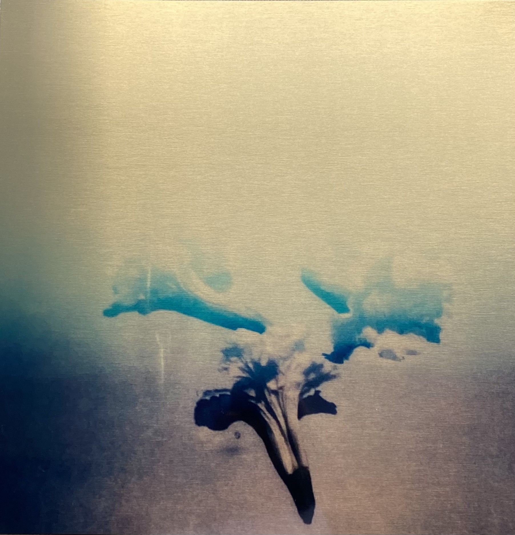 Isabel Herrera, Untitled de Matilisguate Series 2022 Isabel Herrera, Untitled de Matilisguate Series 2022
