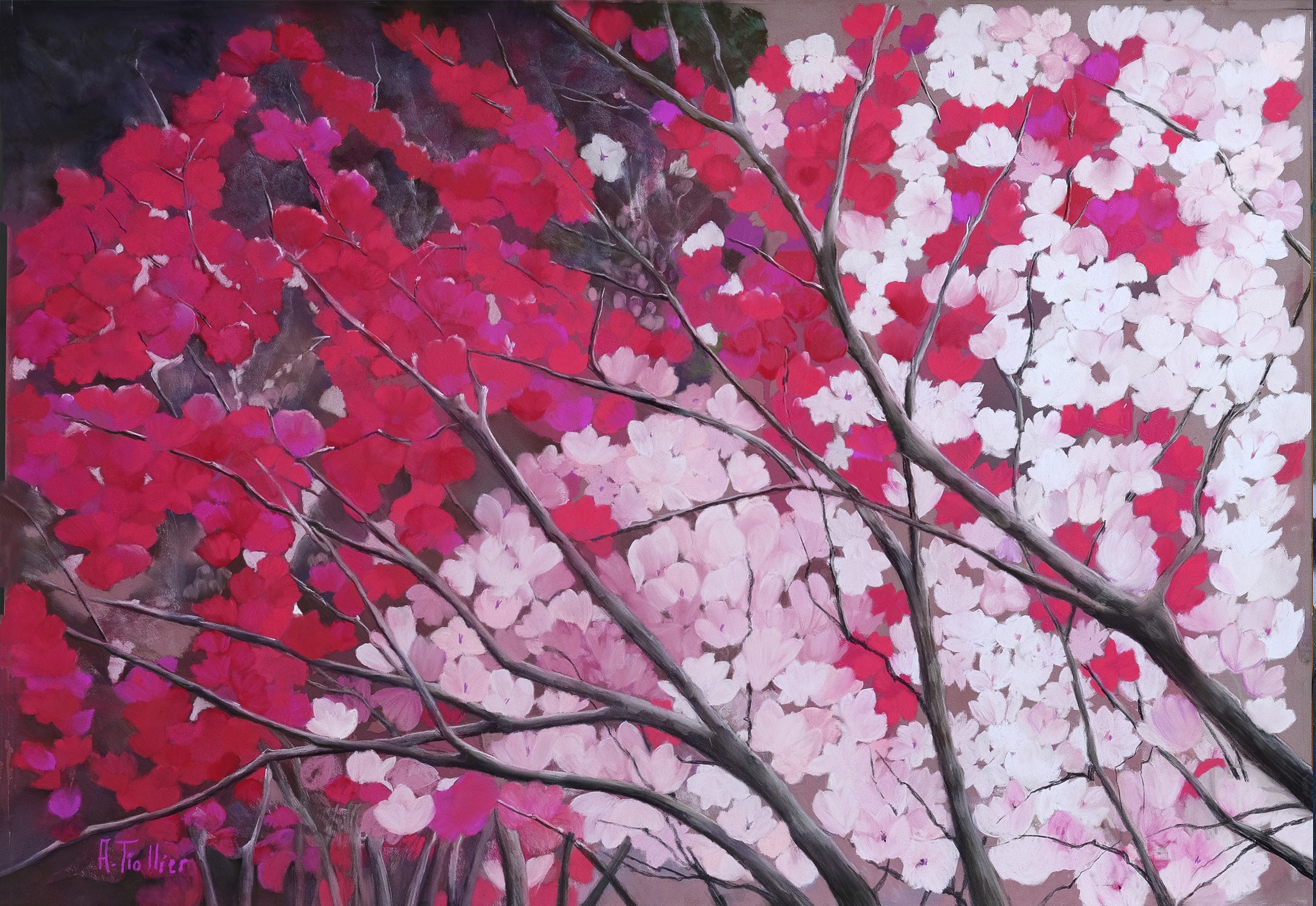 Agnès Tiollier, Le cerisier Japonais Agnès Tiollier, Le cerisier Japonais