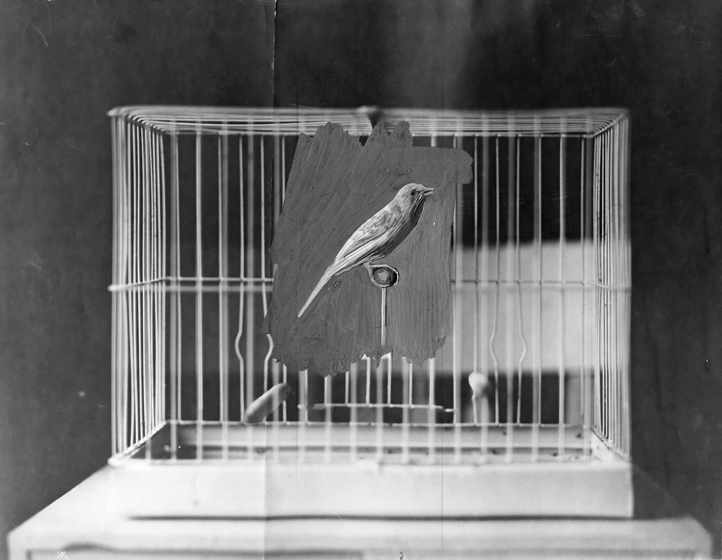 Sebastian Riemer, Bird cage Sebastian Riemer, Bird cage