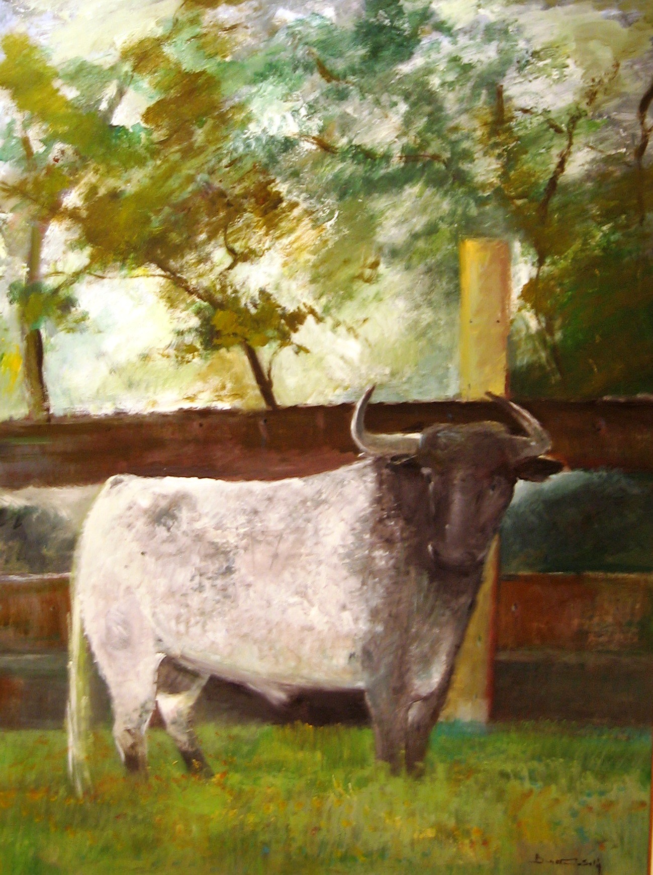 Benavente Solis, Bull 2 Benavente Solis, Bull 2