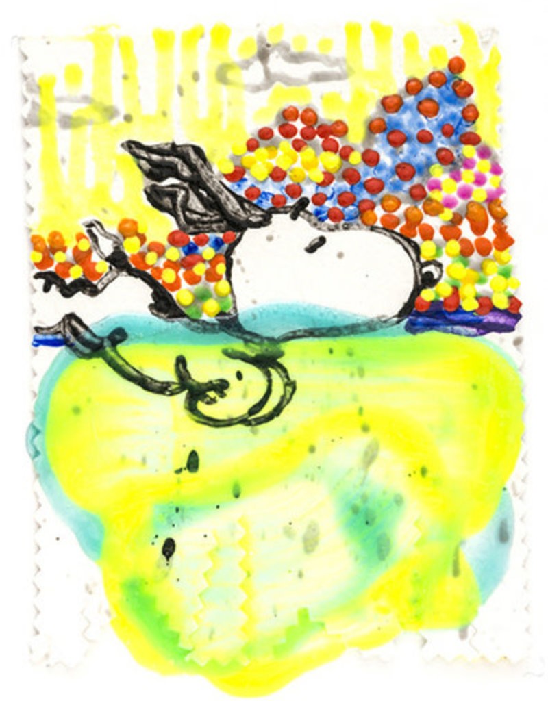 Tom Everhart, Dogg E Paddle XVI Tom Everhart, Dogg E Paddle XVI