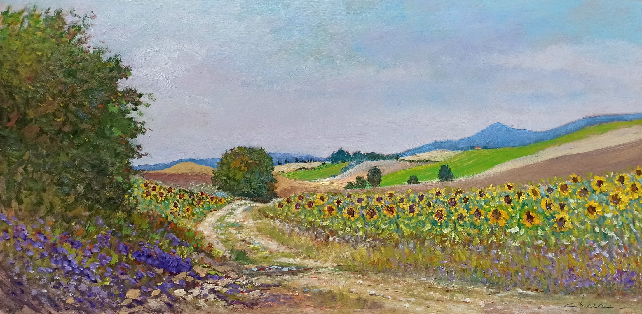 Biagio Chiesi, Sunflowers road - Tuscany painting landscape Biagio Chiesi, Sunflowers road - Tuscany painting landscape