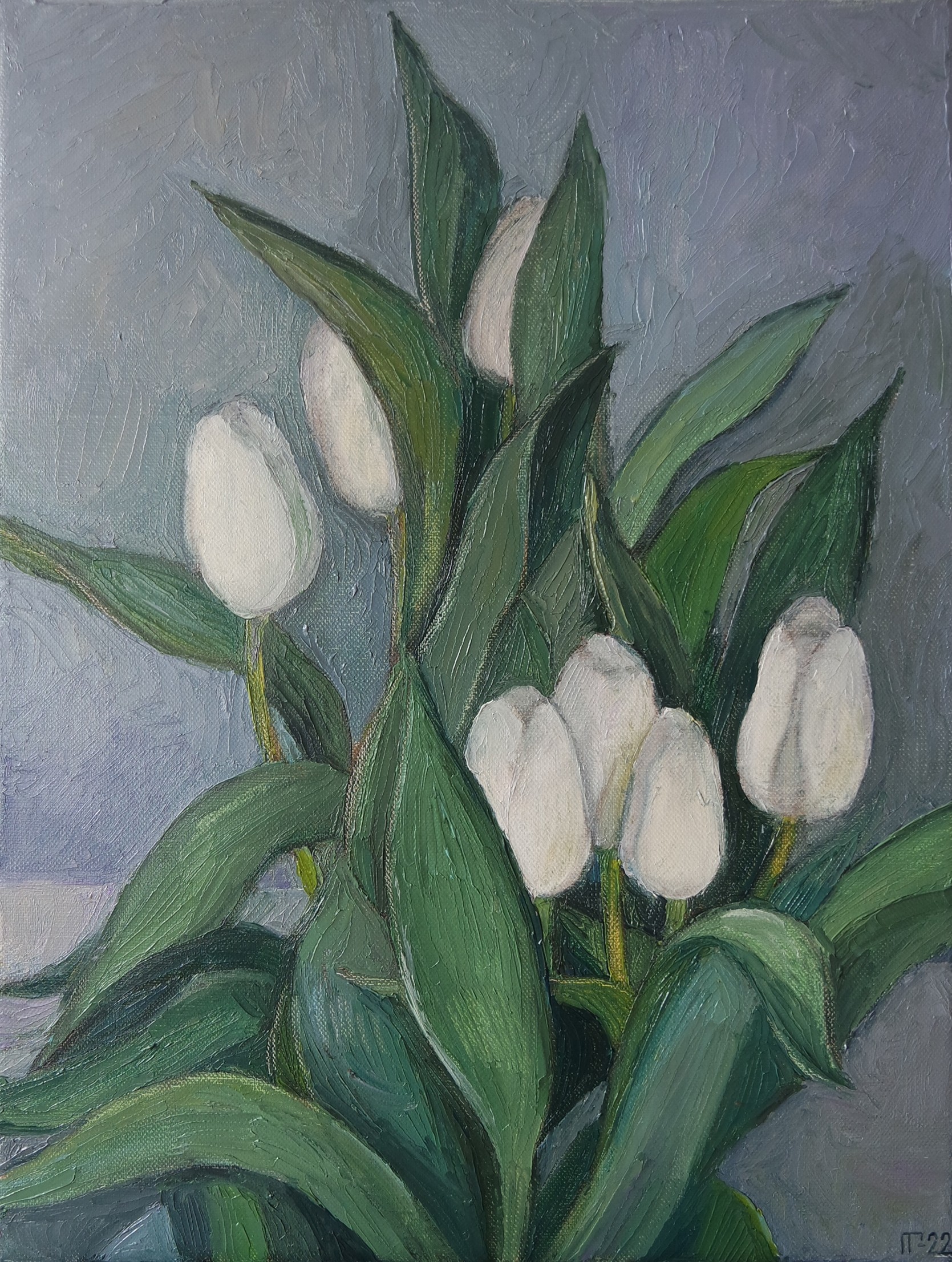 Galya Popova, Plexus Galya Popova, Plexus
