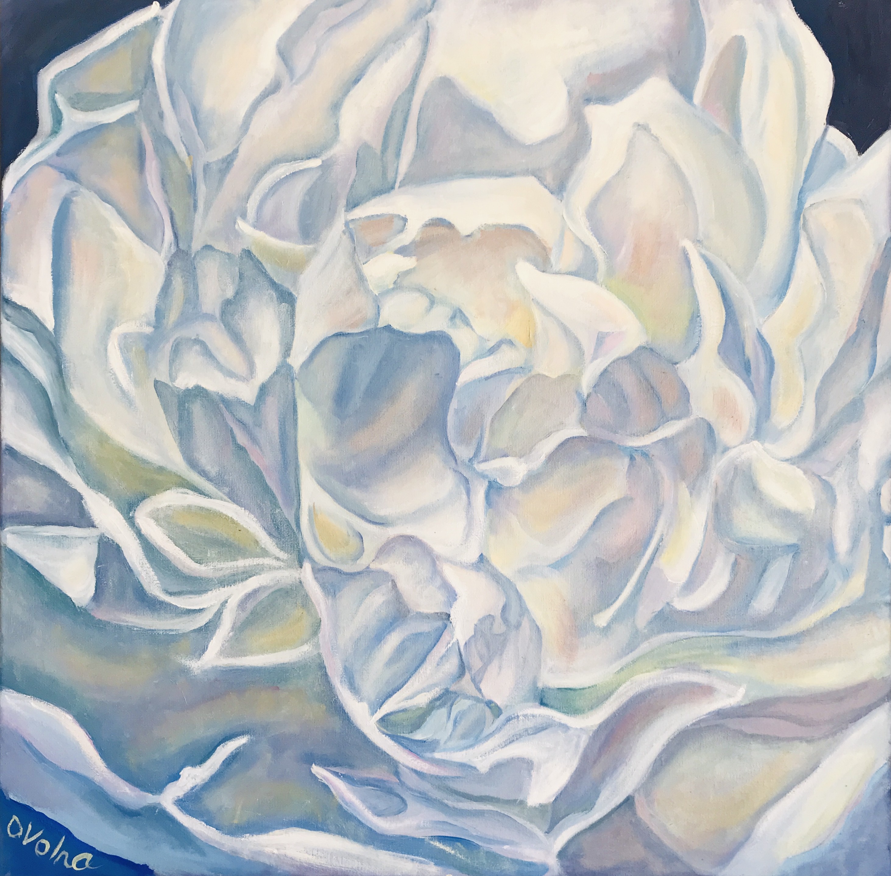 Olga Volna, White peony Olga Volna, White peony