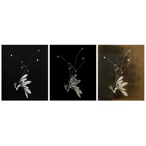 Fotografien, Variations sur la Knautia collina Jord., Sophie Zénon