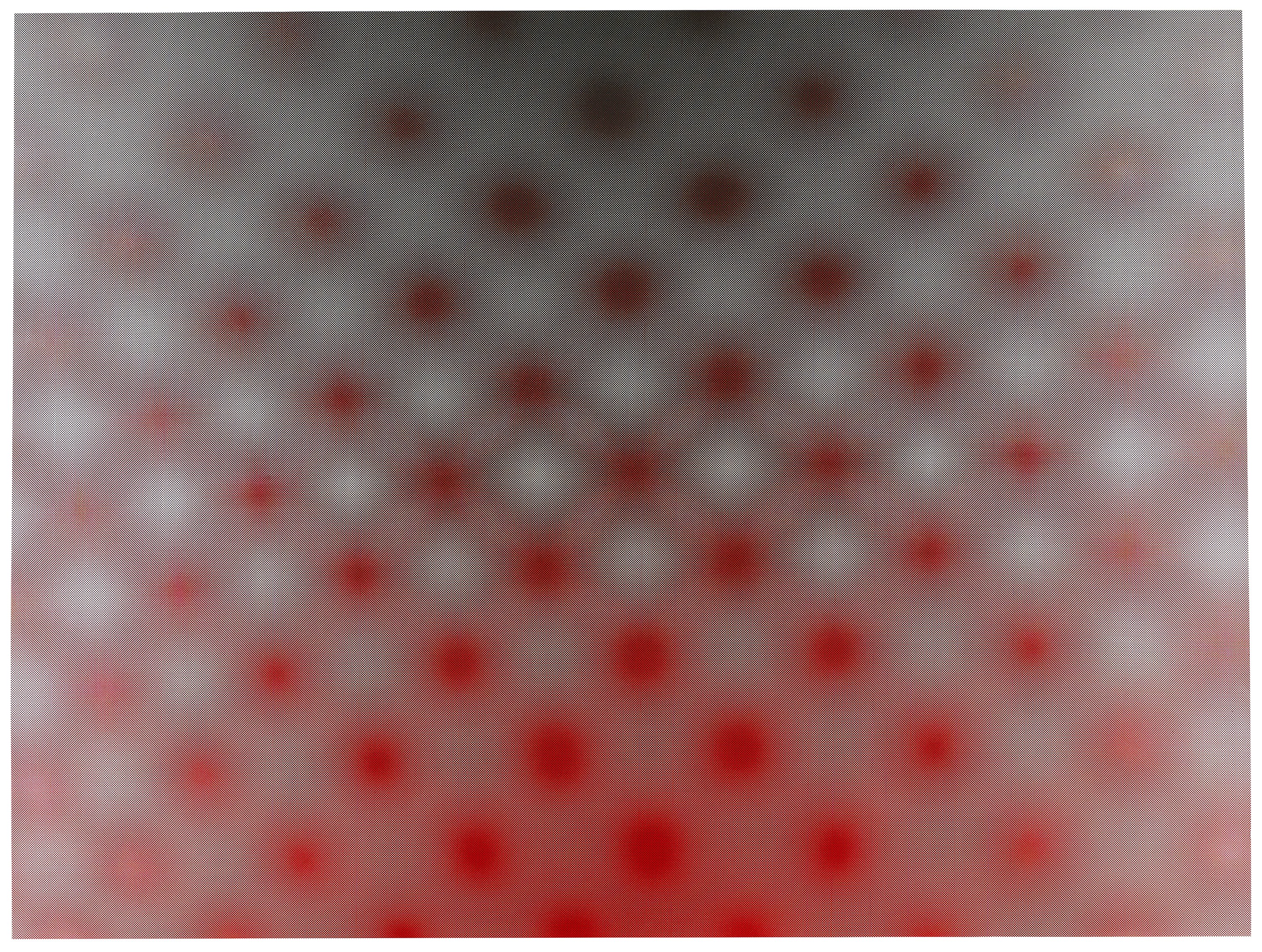 Anish Kapoor, Moiré 3 Anish Kapoor, Moiré 3