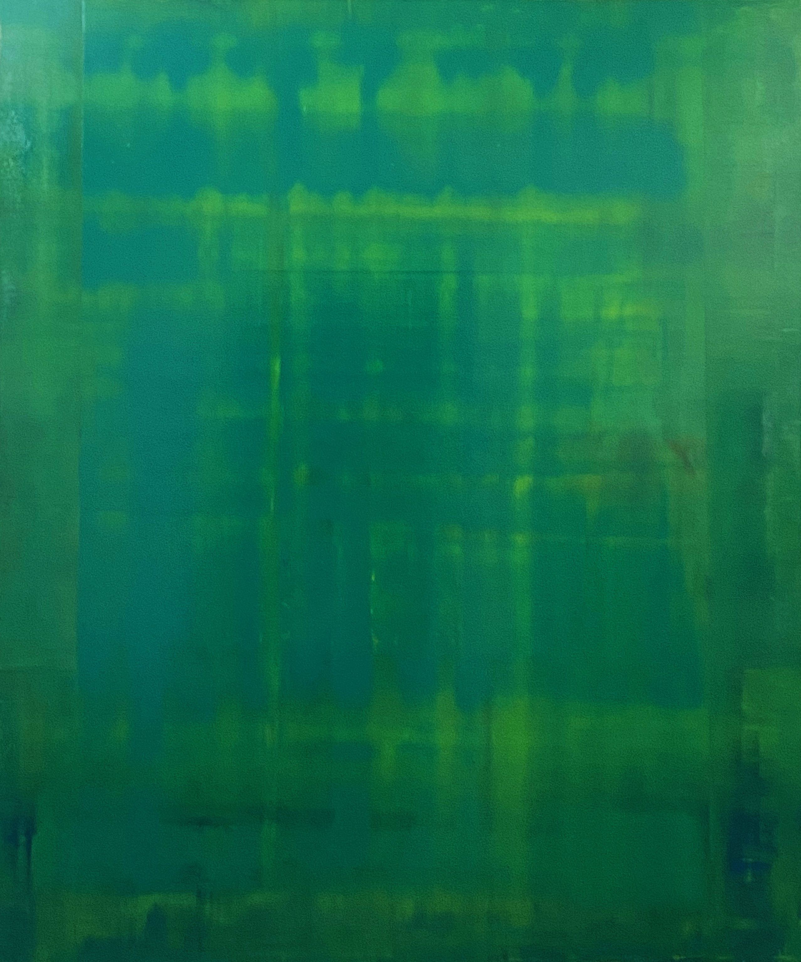 Nivas Kanhere, Deep Green Nivas Kanhere, Deep Green