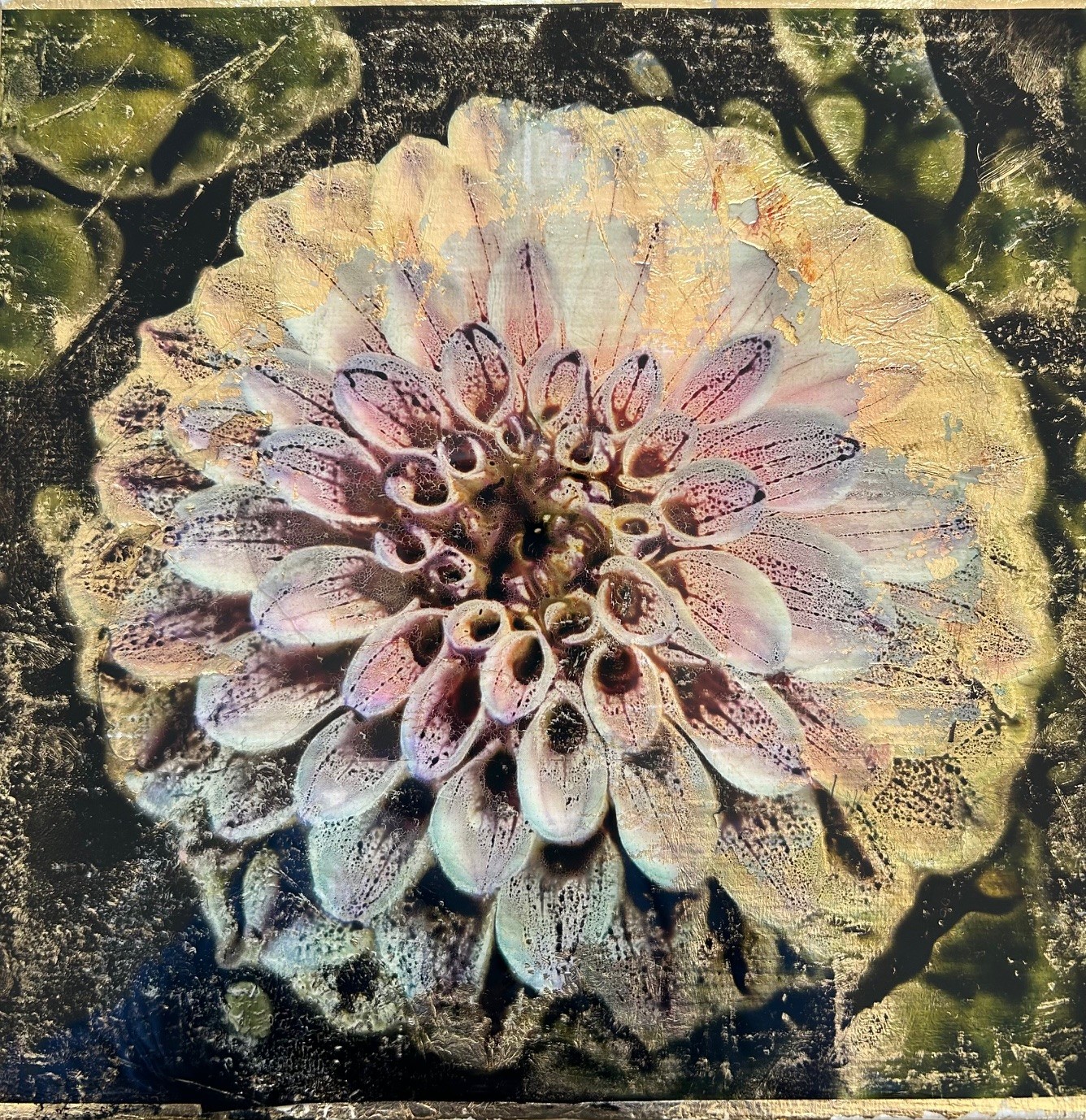 Kiran Chugani, Dahlia Kiran Chugani, Dahlia